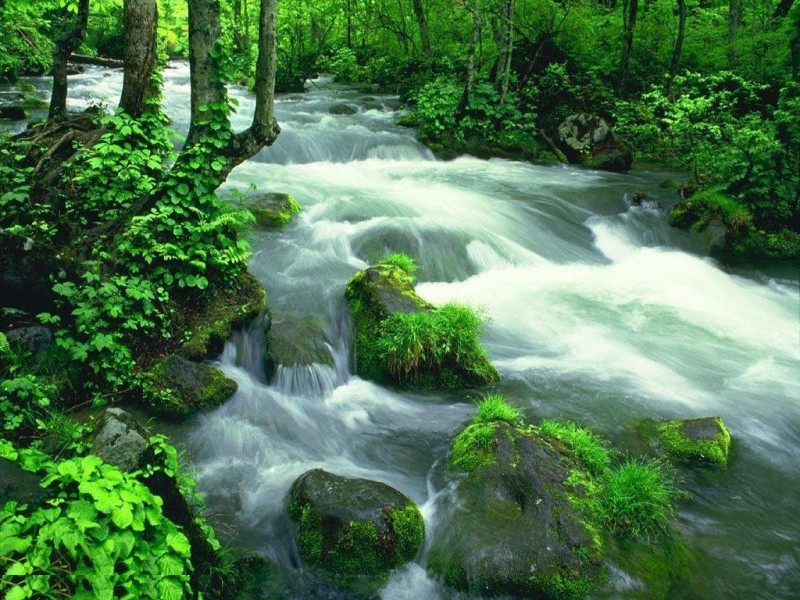 無料モバイル壁紙川, 風景をダウンロードします。
