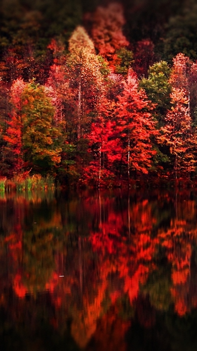  Horizontal Wallpaper