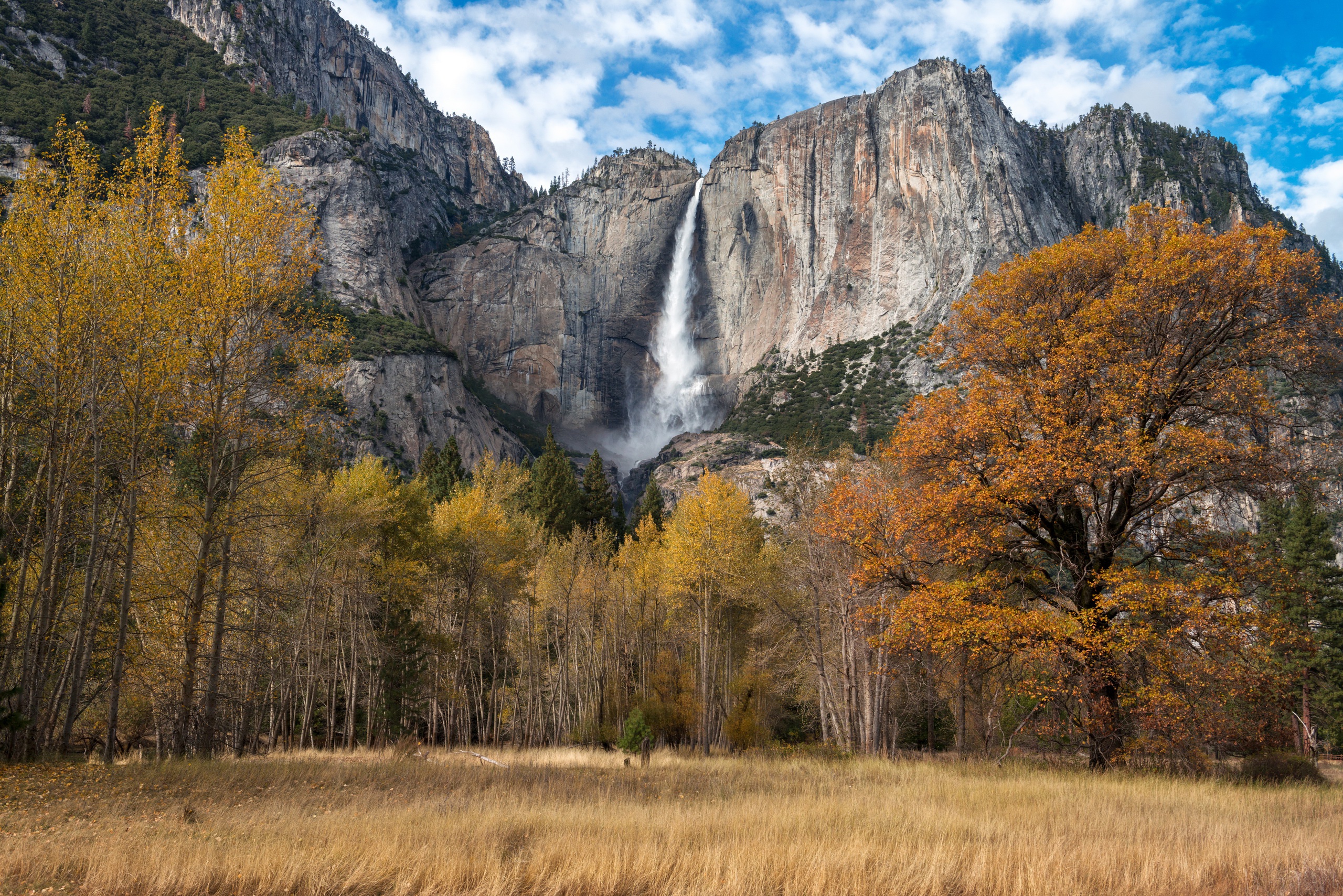 Téléchargez des papiers peints mobile Cascades, Arbre, Falaise, Etats Unis, Parc National De Yosemite, La Nature, Terre/nature, Chûte D'eau, Chutes De Yosemite gratuitement.