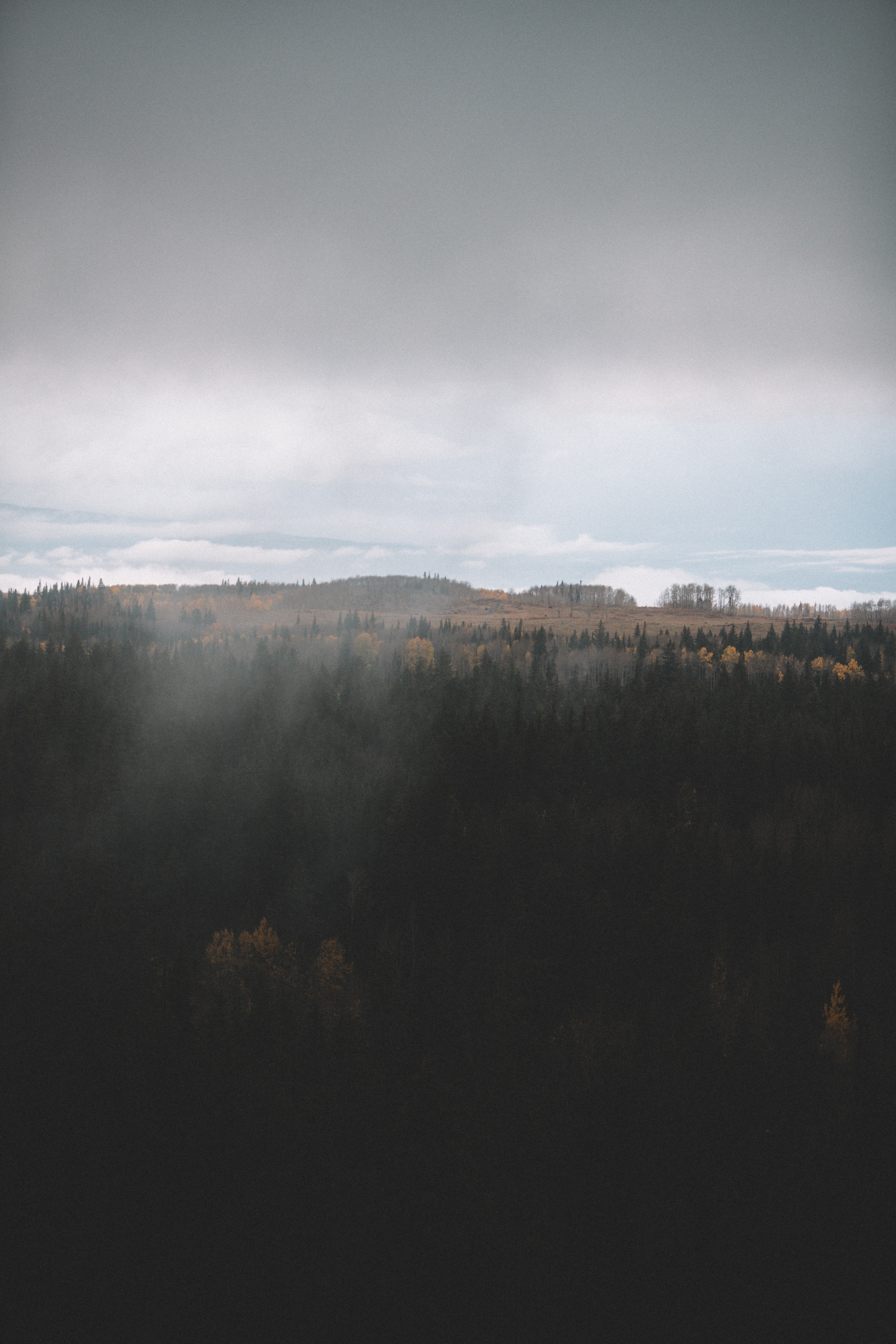 Download mobile wallpaper Clouds, View From Above, Forest, Nature, Landscape, Dark for free.