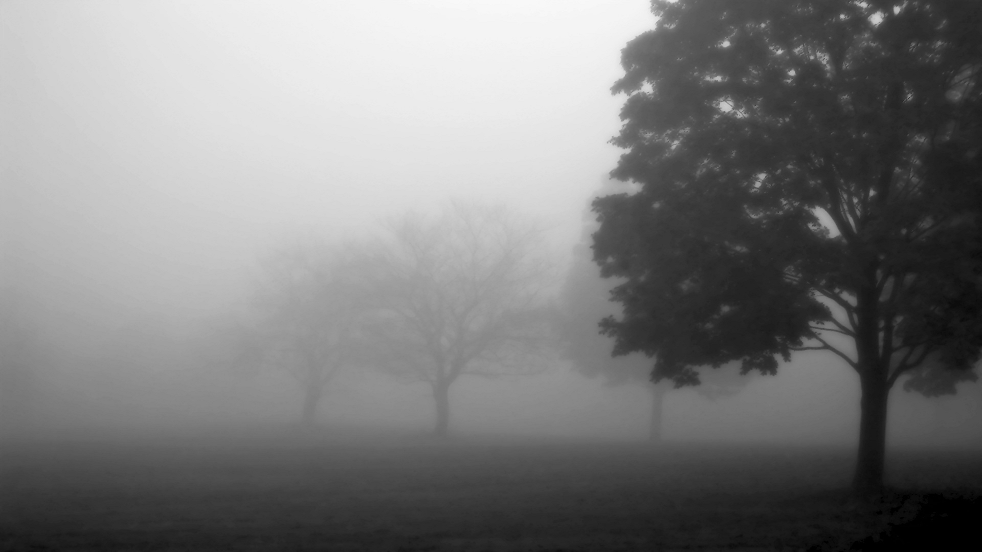 Descarga gratuita de fondo de pantalla para móvil de Niebla, Tierra/naturaleza.