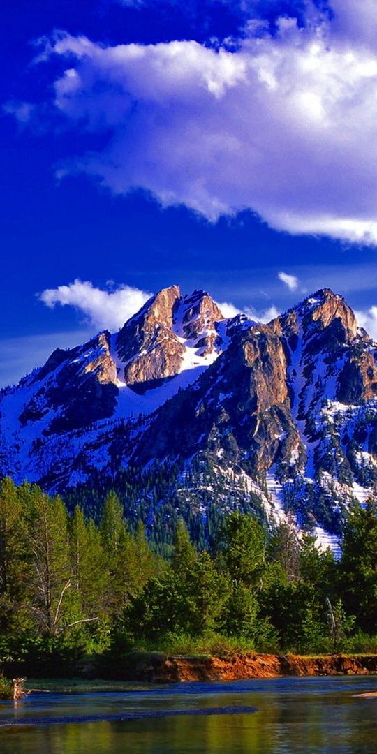 Fondos de pantalla de Bosque para celular, gratis del teléfono 4K