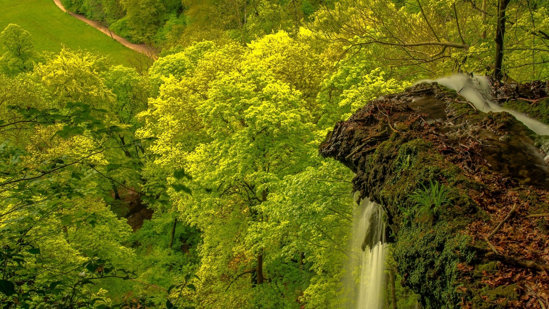 Скачать картинку Природа, Вода, Водопады, Водопад, Лес, Зеленый, Земля/природа в телефон бесплатно.