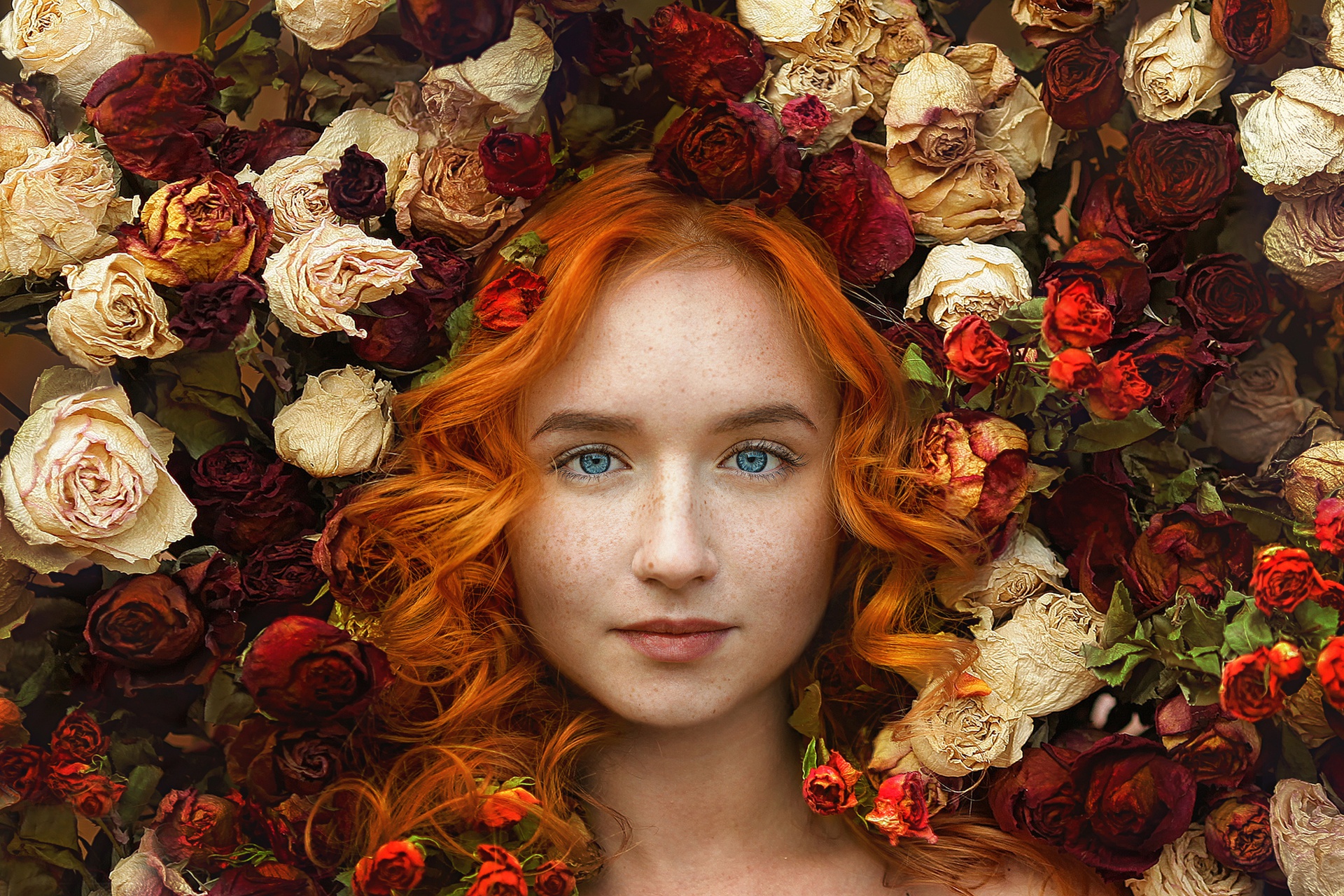 Laden Sie das Blume, Rose, Rothaarige, Gesicht, Modell, Frauen, Blaue Augen, Weiße Blume, Sommersprossen, Rote Blume-Bild kostenlos auf Ihren PC-Desktop herunter