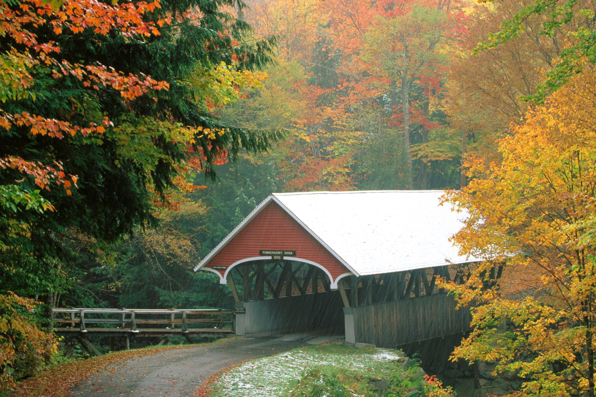 man made, covered bridge, fall, tree, bridges HD wallpaper