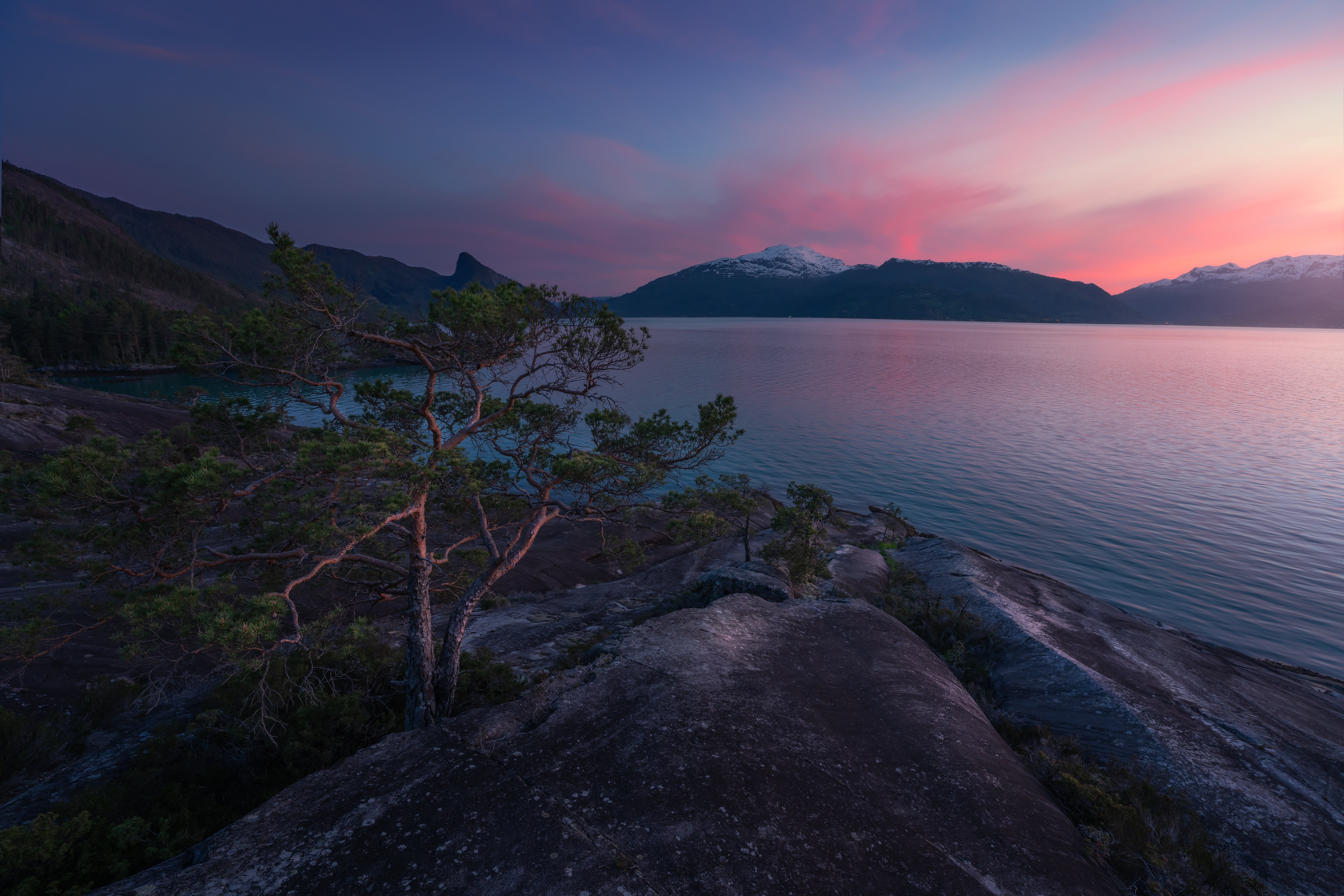 Free download wallpaper Sunset, Mountain, Earth, Norway, Coastline, Fjord, Pine Tree on your PC desktop
