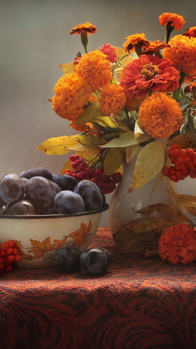 Handy-Wallpaper Obst, Herbst, Blume, Frucht, Fotografie, Ringelblume, Pflaume, Stillleben, Orangene Blume, Zwetschge kostenlos herunterladen.