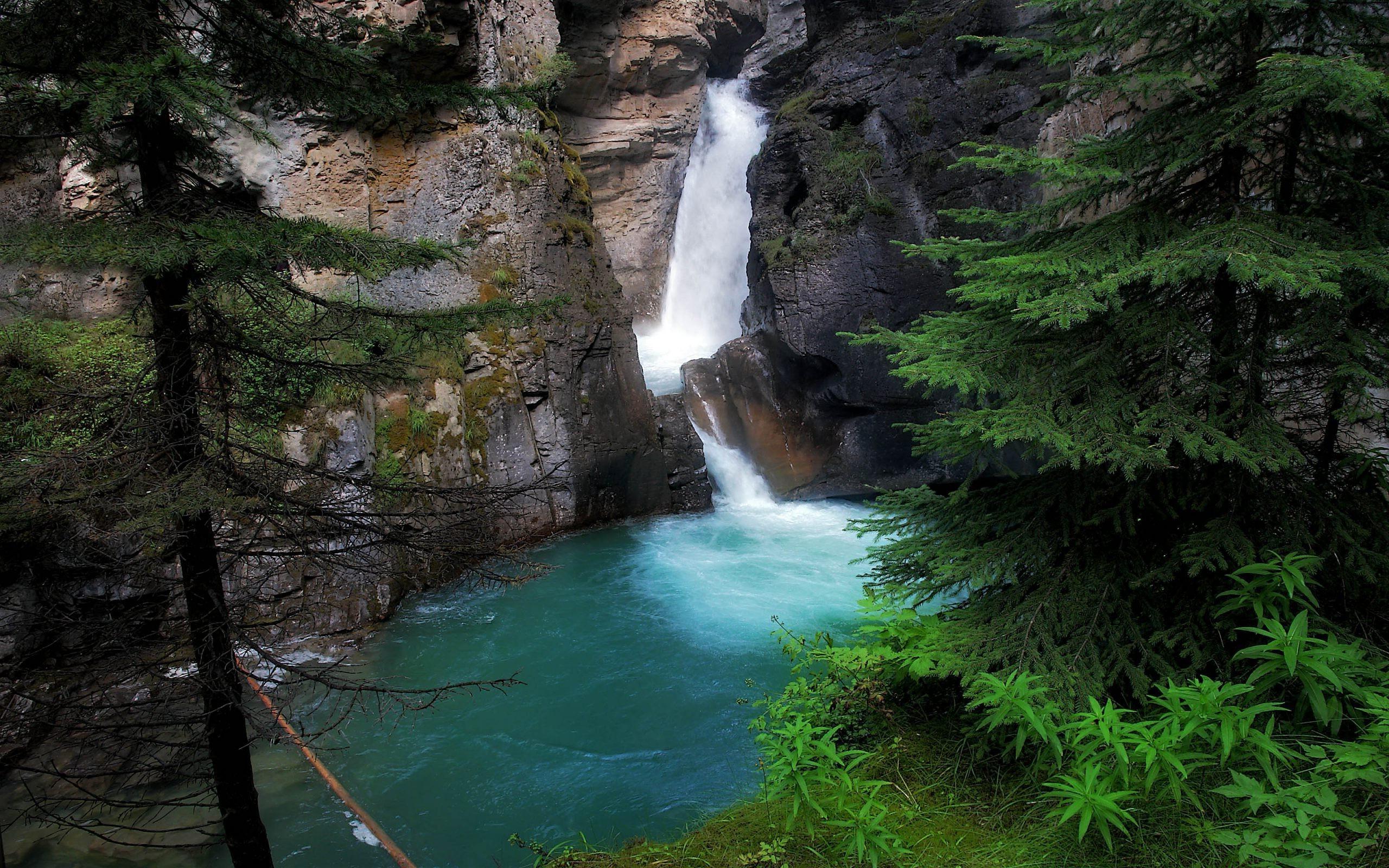 Handy-Wallpaper Natur, Wasserfall, Baum, Erde/natur kostenlos herunterladen.