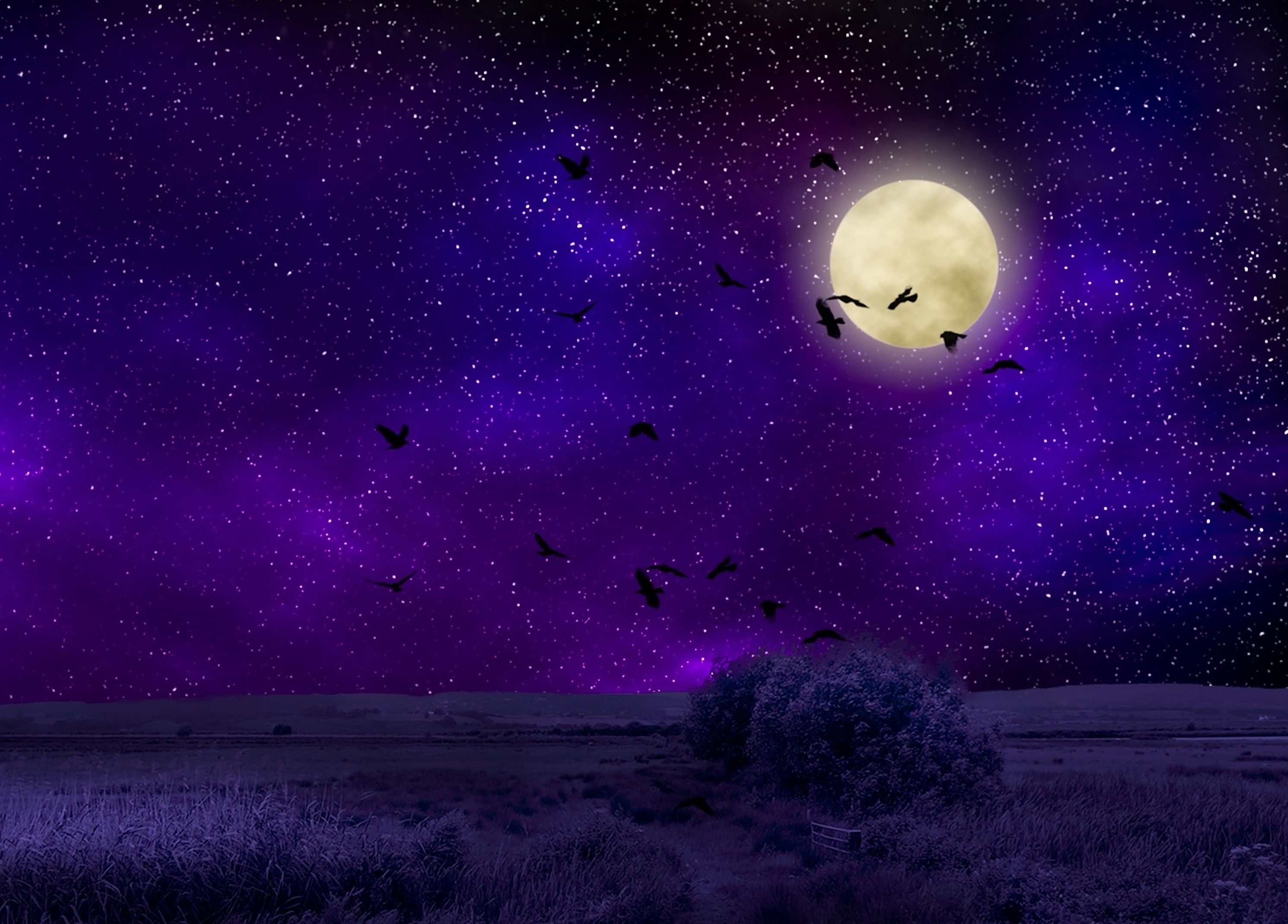 Handy-Wallpaper Photoshop, Mondlicht, Sternenhimmel, Vögel, Übernachtung, Mond, Dunkel kostenlos herunterladen.