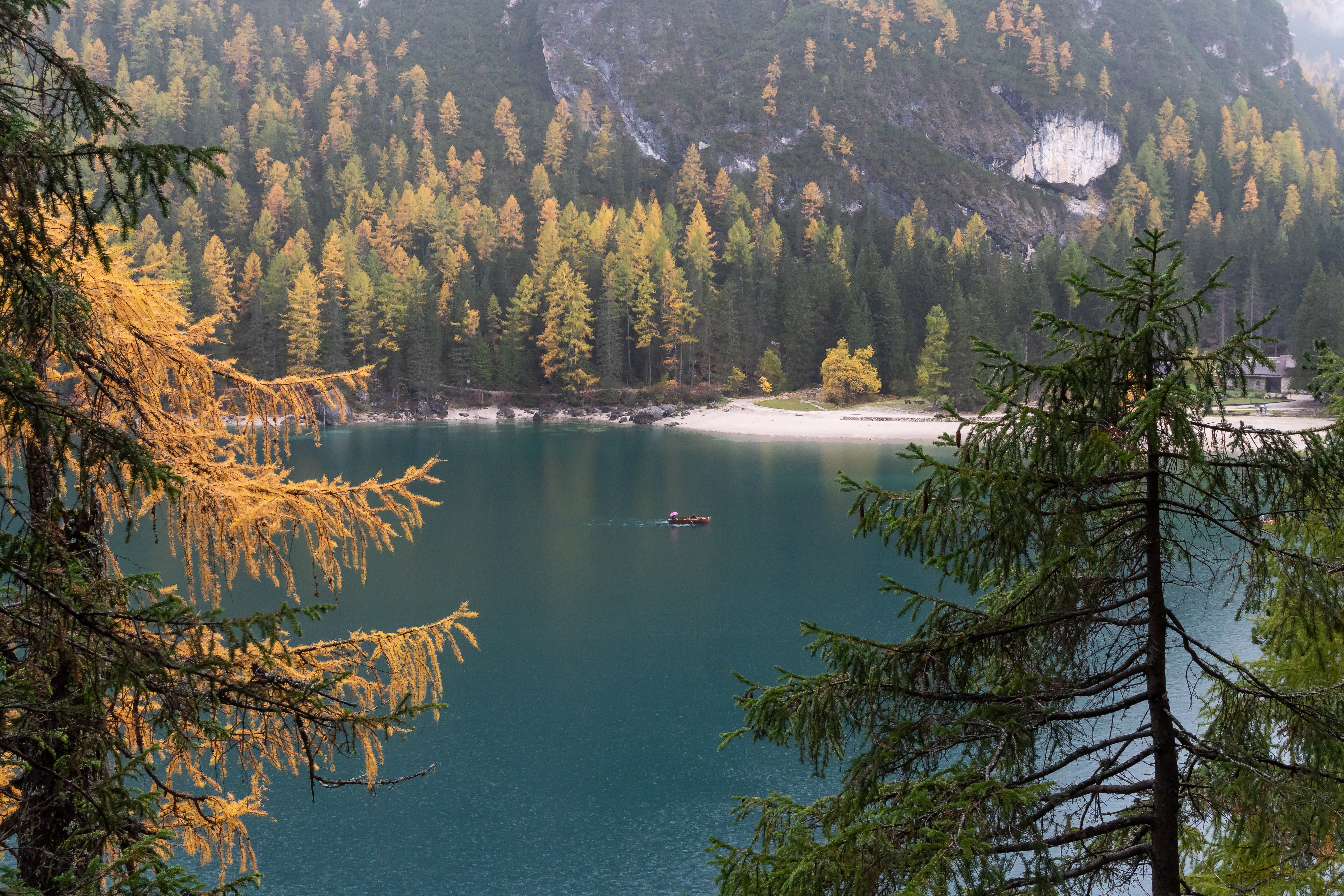 Descarga gratuita de fondo de pantalla para móvil de Naturaleza, Orilla, Agua, Árboles, Lago, Banco, Un Barco, Bote.