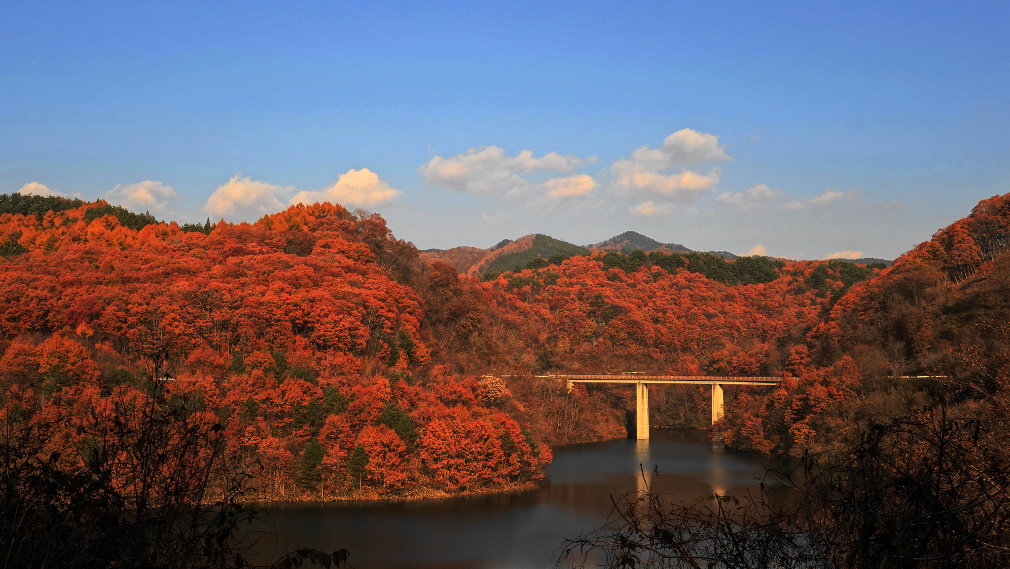 Laden Sie das Natur, Herbst, See, Wald, Brücke, Fotografie-Bild kostenlos auf Ihren PC-Desktop herunter