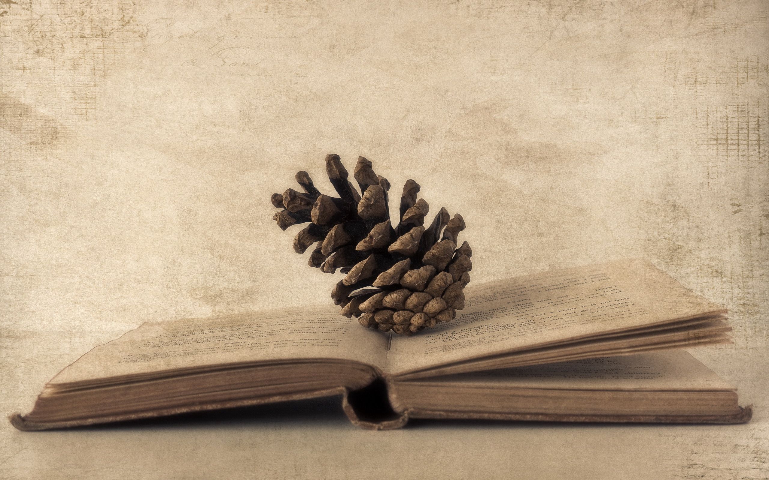 book, old photo, cones, miscellanea, miscellaneous, paper for android
