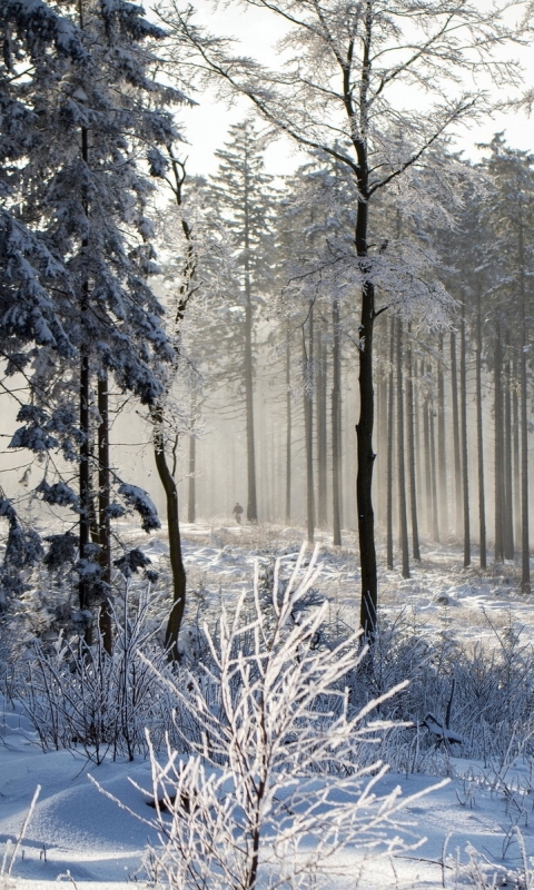 Descarga gratuita de fondo de pantalla para móvil de Invierno, Tierra/naturaleza.