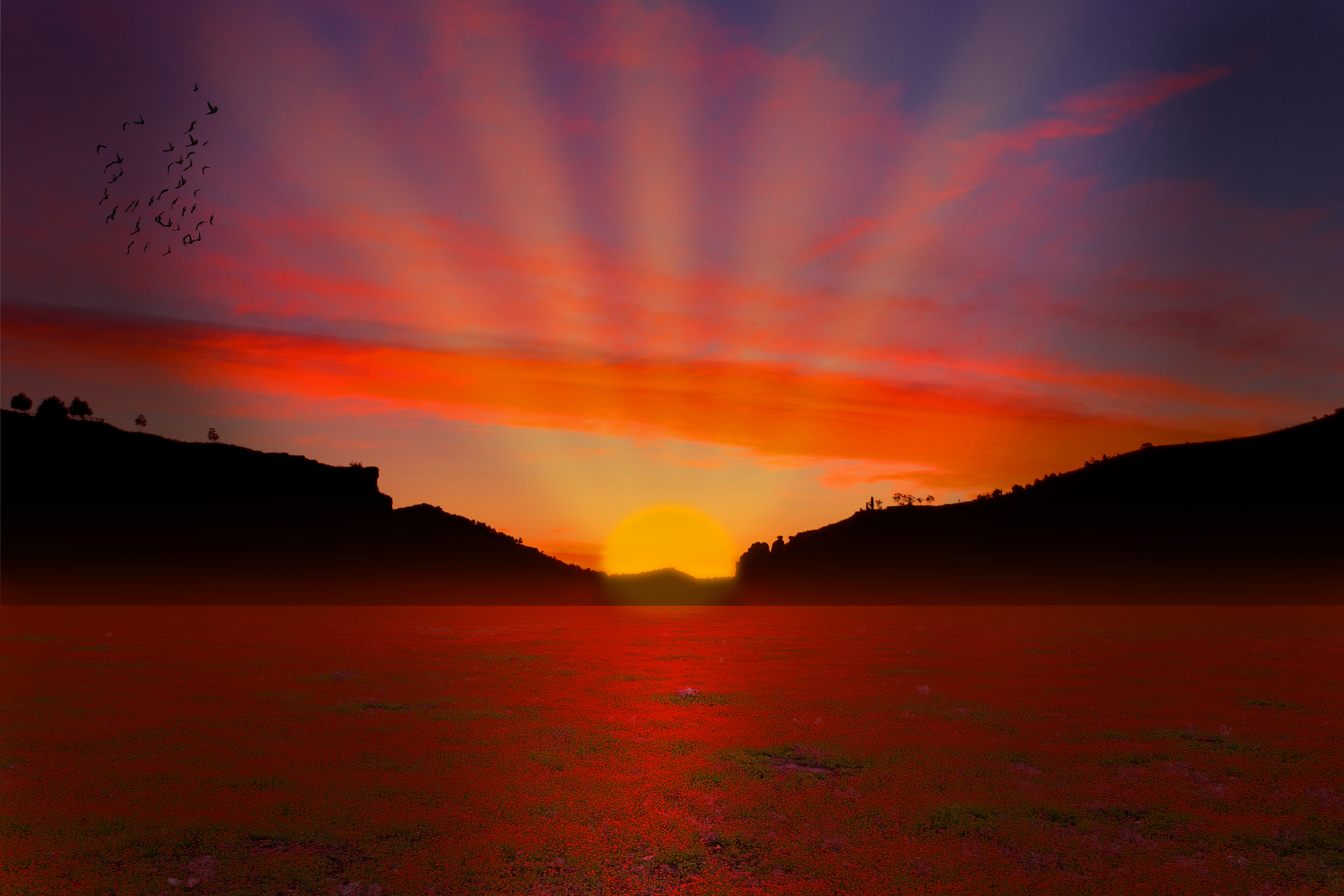 Laden Sie das Silhouette, Sonnenaufgang, Sonne, Sonnenstrahl, Erde/natur, Orange Farbe)-Bild kostenlos auf Ihren PC-Desktop herunter