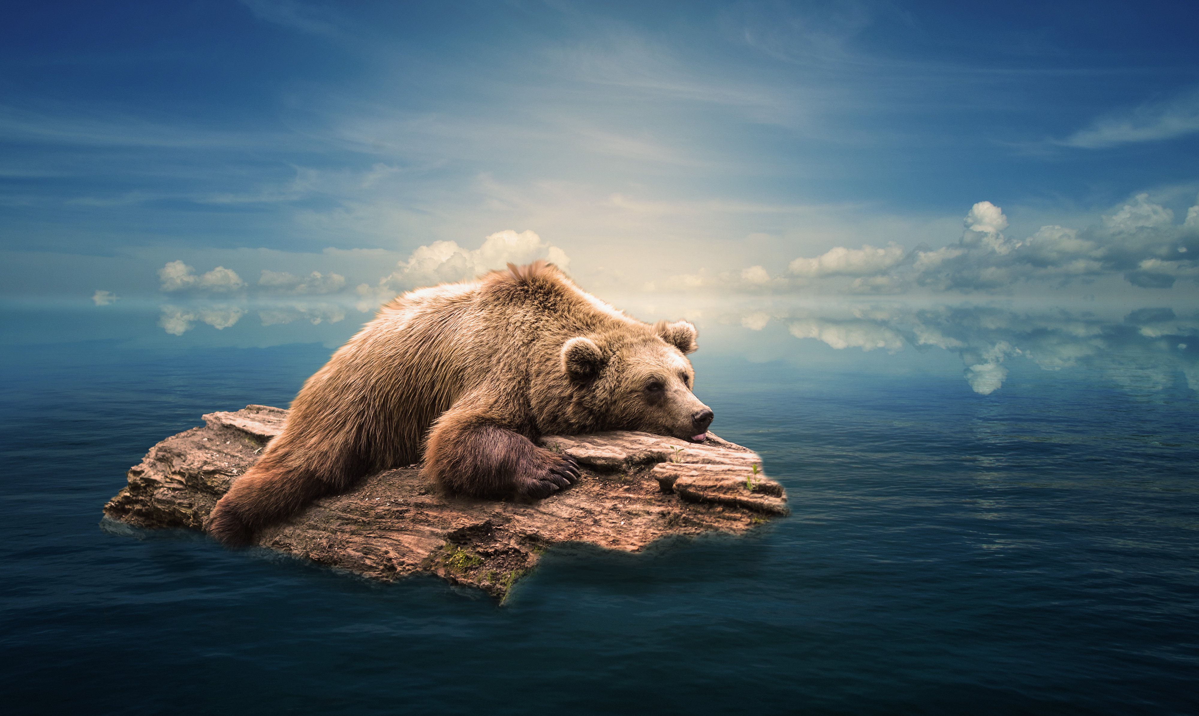 Download mobile wallpaper Horizon, Reflection, Ocean, Bear, Alone, Photography, Manipulation for free.
