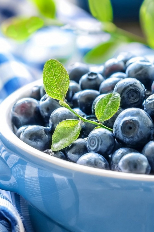 Download mobile wallpaper Food, Blueberry, Fruit for free.