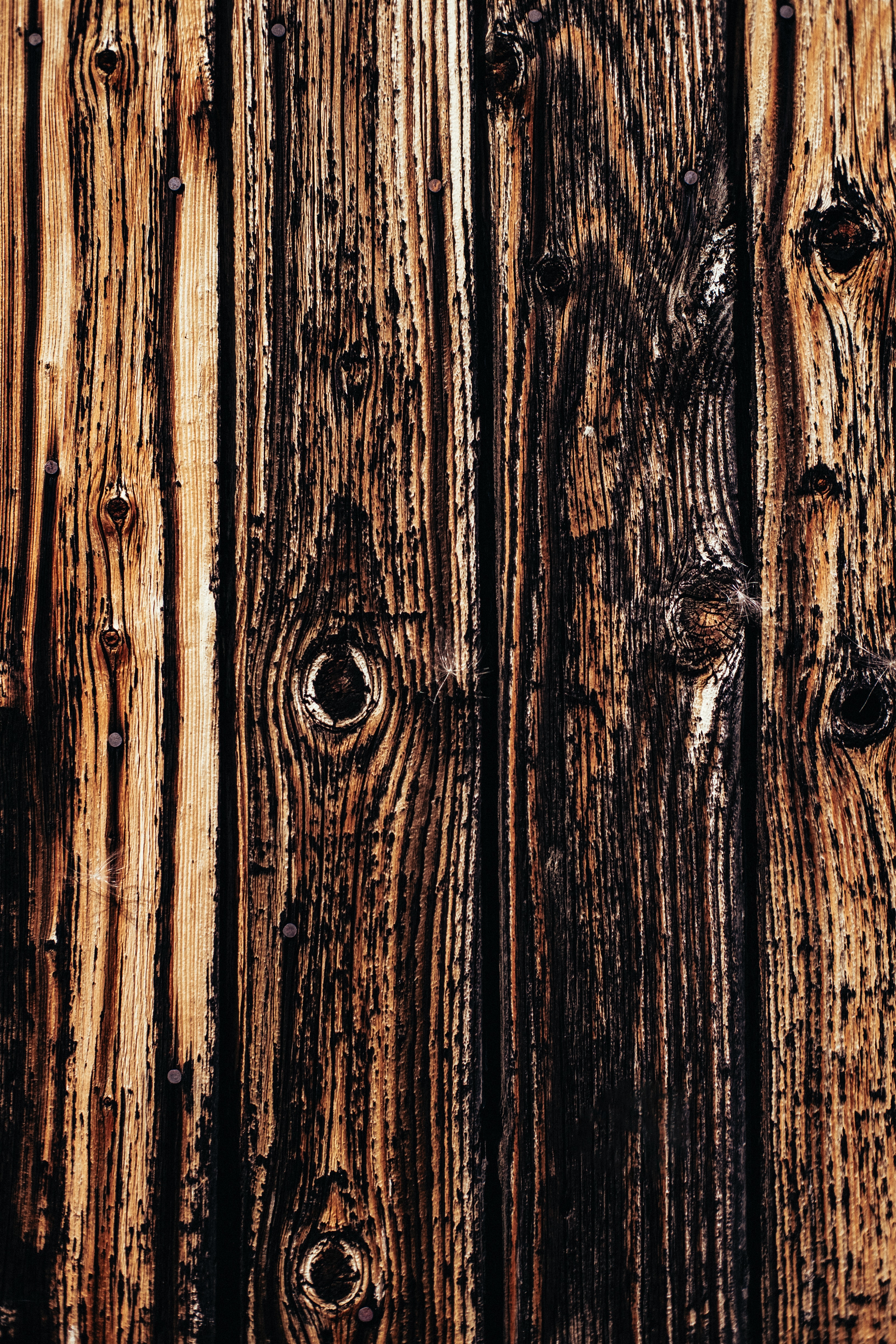 wood, wooden, texture, lines, textures, stripes, streaks, planks, board 1080p