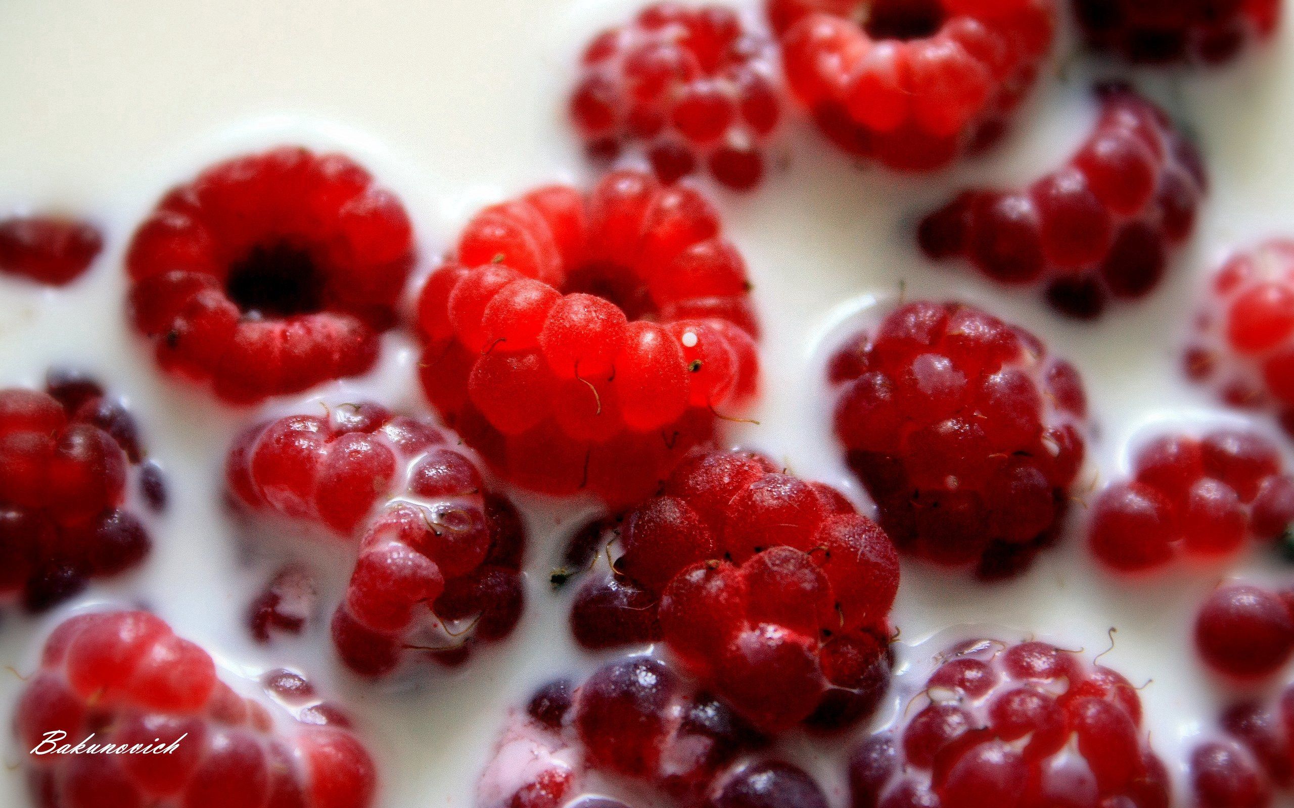 Free download wallpaper Raspberry, Berry, Milk, Food on your PC desktop