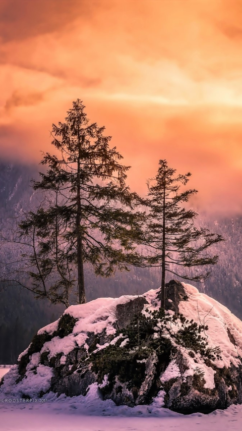 Download mobile wallpaper Winter, Sunset, Mountain, Tree, Earth for free.