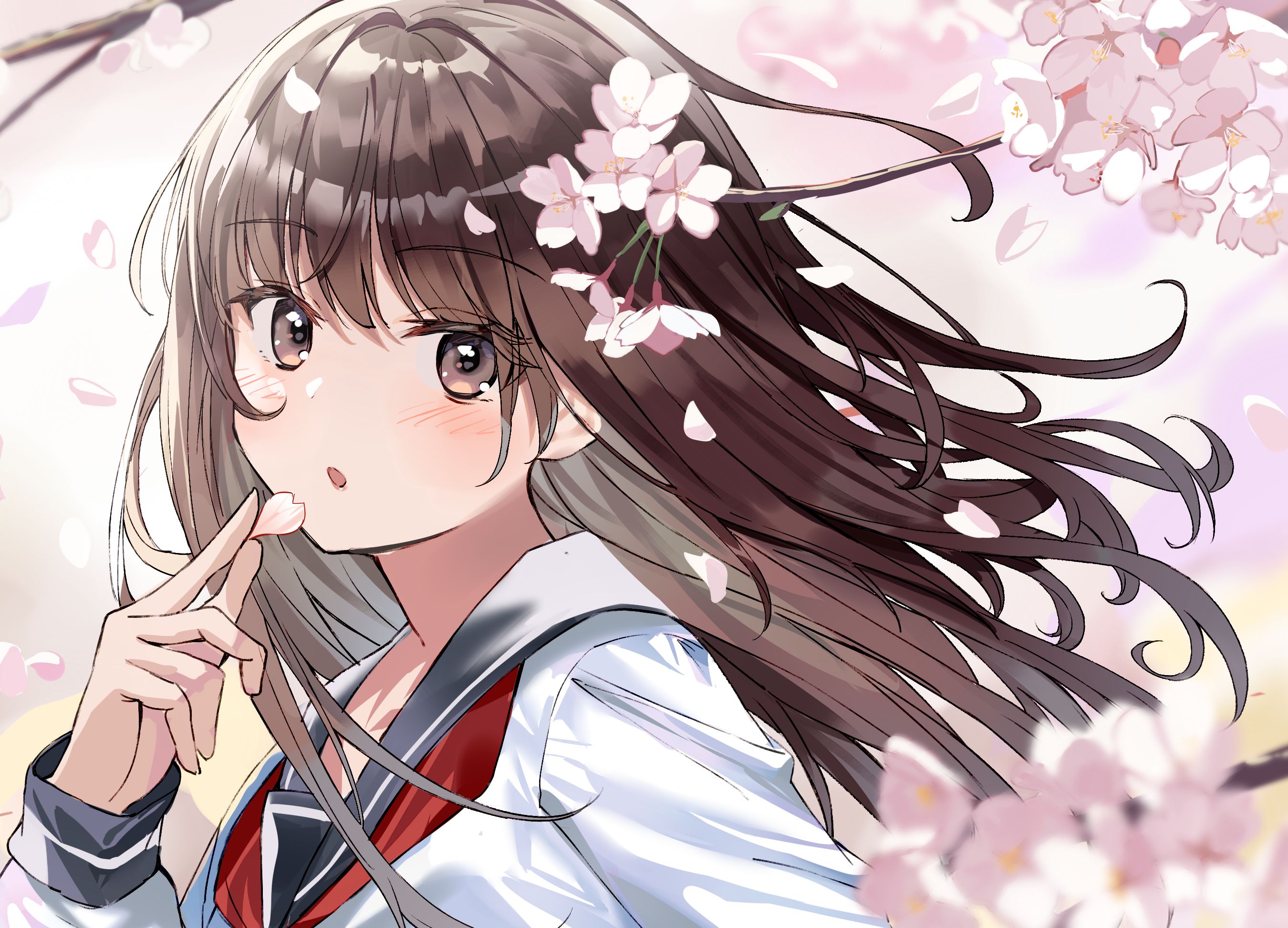 Laden Sie das Mädchen, Kirschblüte, Braune Augen, Animes, Braune Haare-Bild kostenlos auf Ihren PC-Desktop herunter