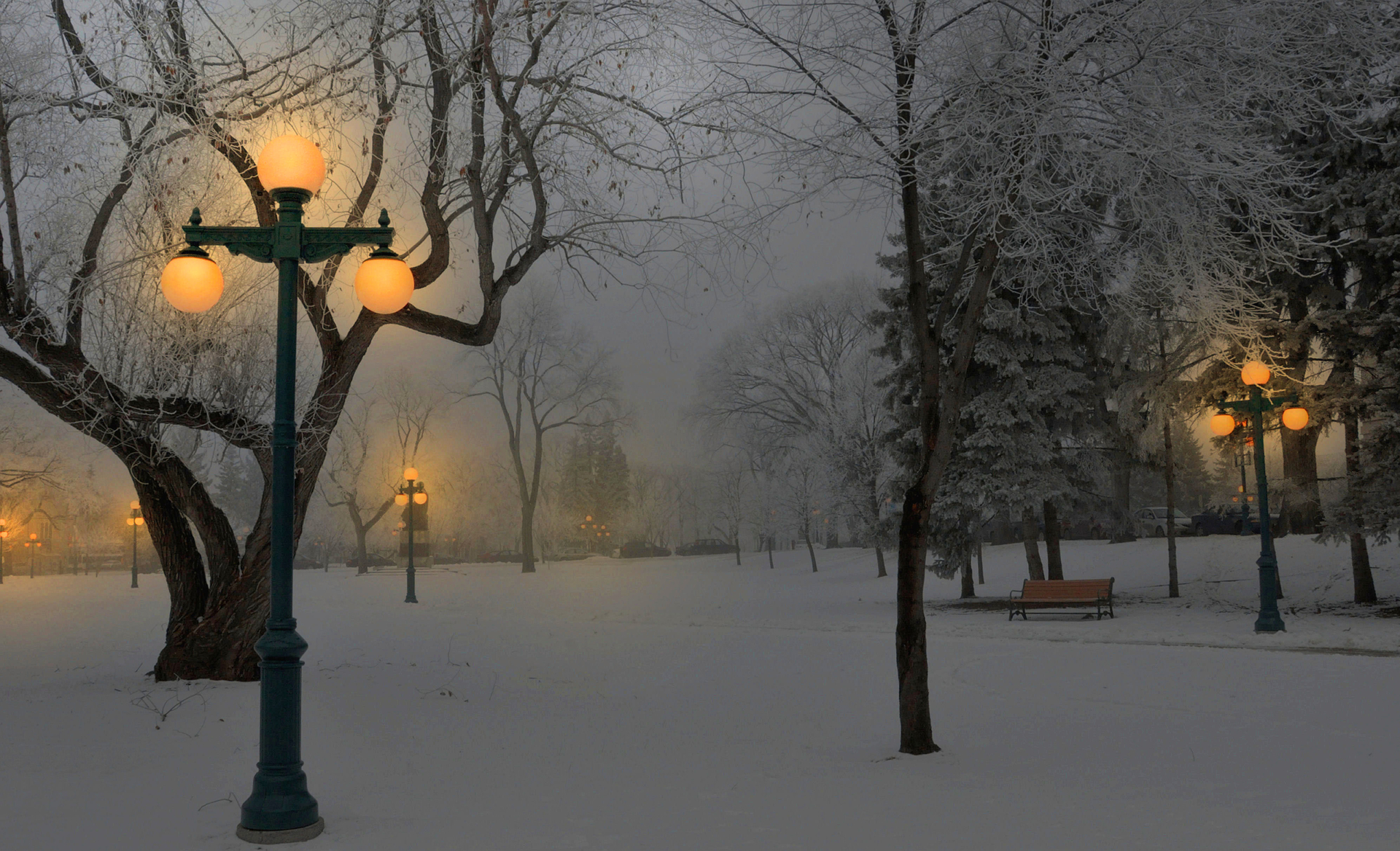 PCデスクトップに冬, 木, 雪, 光, 公園, 夕暮れ, ベンチ, 写真撮影, 街灯柱画像を無料でダウンロード