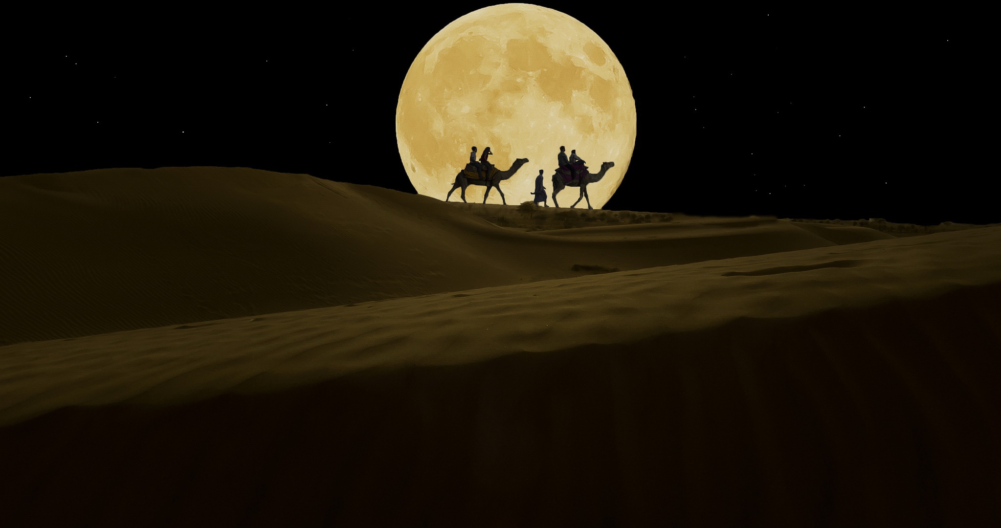 1021606 завантажити шпалери фотографія, караван, бедуїн, верблюд, пустеля, місяць, ніч - заставки і картинки безкоштовно