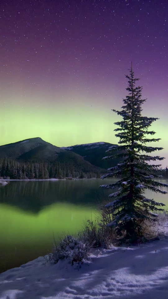 Descarga gratuita de fondo de pantalla para móvil de Invierno, Cielo, Estrellas, Nieve, Montaña, Reflexión, Bosque, Árbol, Aurora Boreal, Tierra/naturaleza, Reflejo.