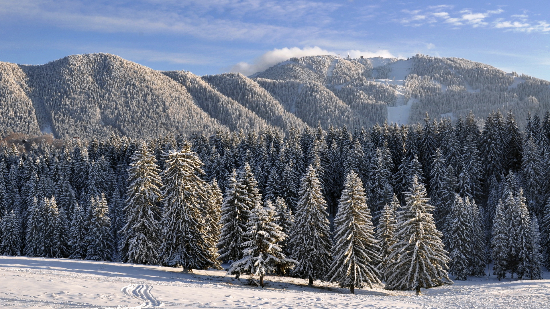 Descarga gratuita de fondo de pantalla para móvil de Invierno, Tierra/naturaleza.