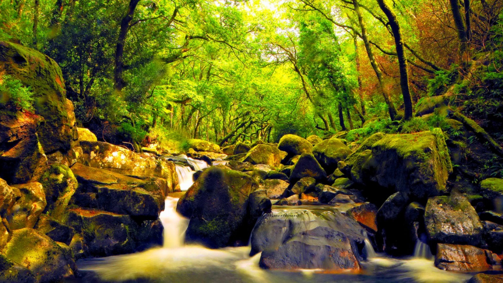 Free download wallpaper Nature, Waterfalls, Waterfall, Forest, Earth on your PC desktop