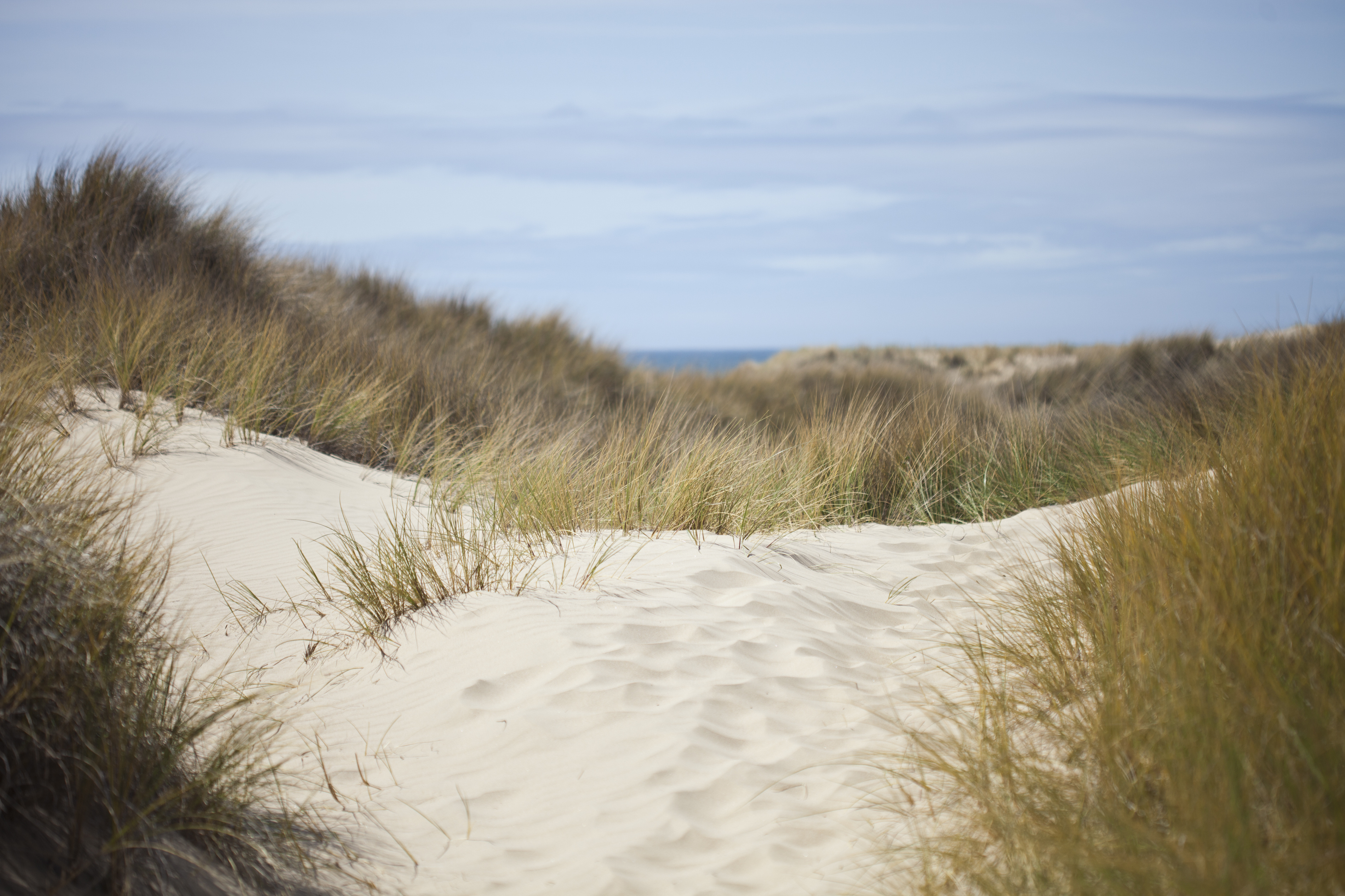 Laden Sie das Landschaft, Grass, Sand, Sea-Bild kostenlos auf Ihren PC-Desktop herunter