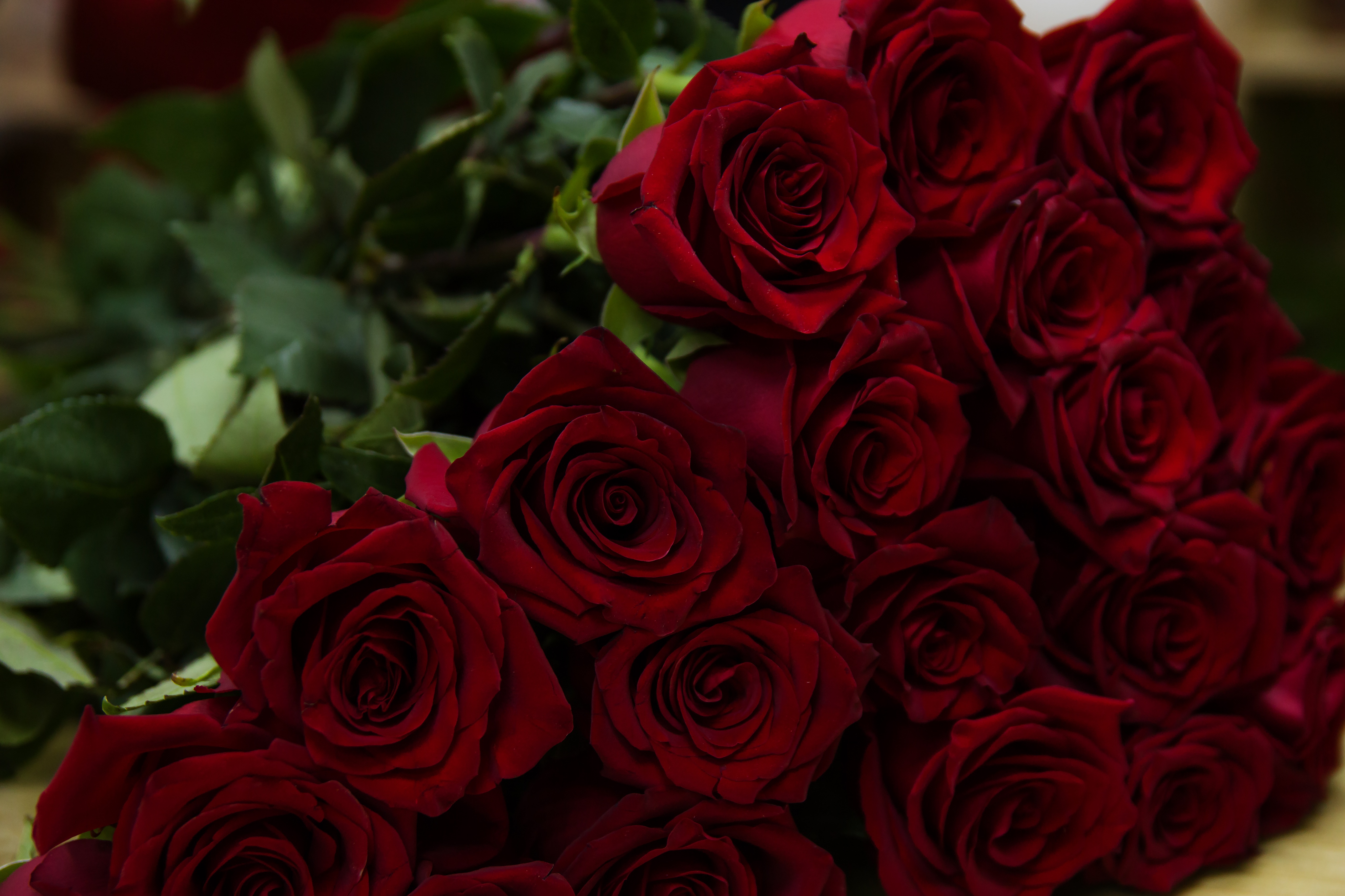 bouquet, flowers, roses, red Full HD