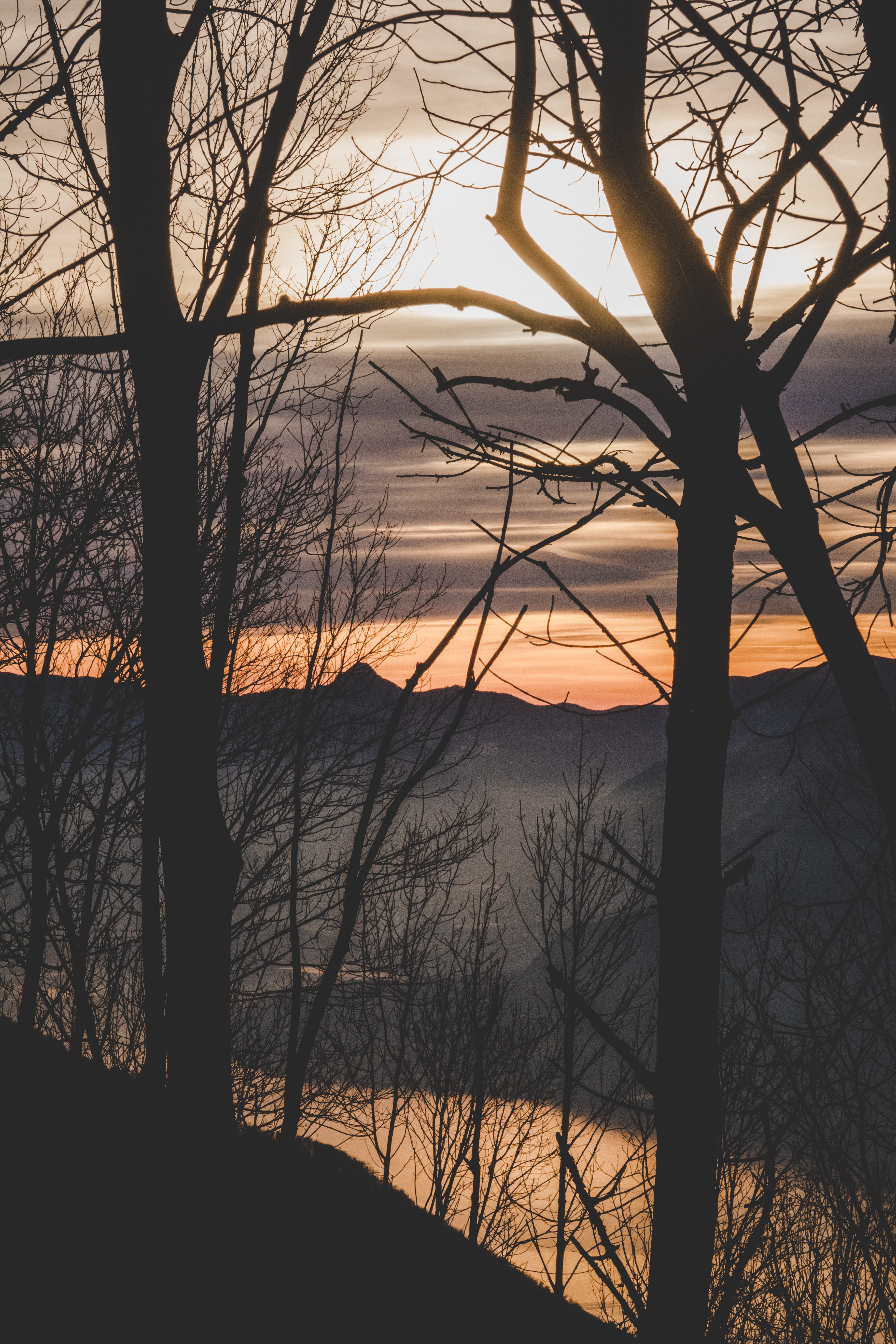 Free download wallpaper Nature, Sunset, Fog, Branches, Trees, Mountains on your PC desktop