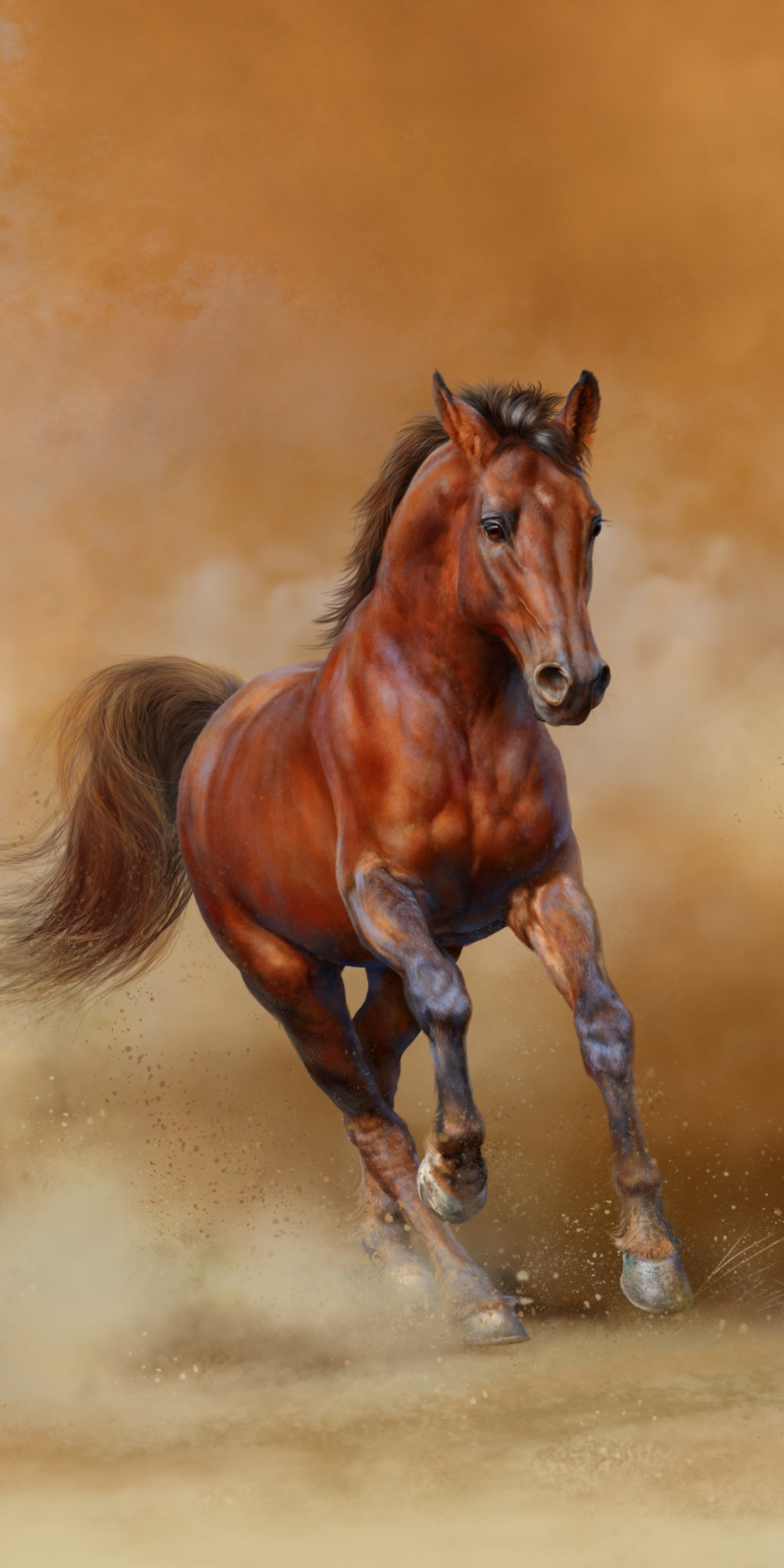 Download mobile wallpaper Horse, Animal for free.