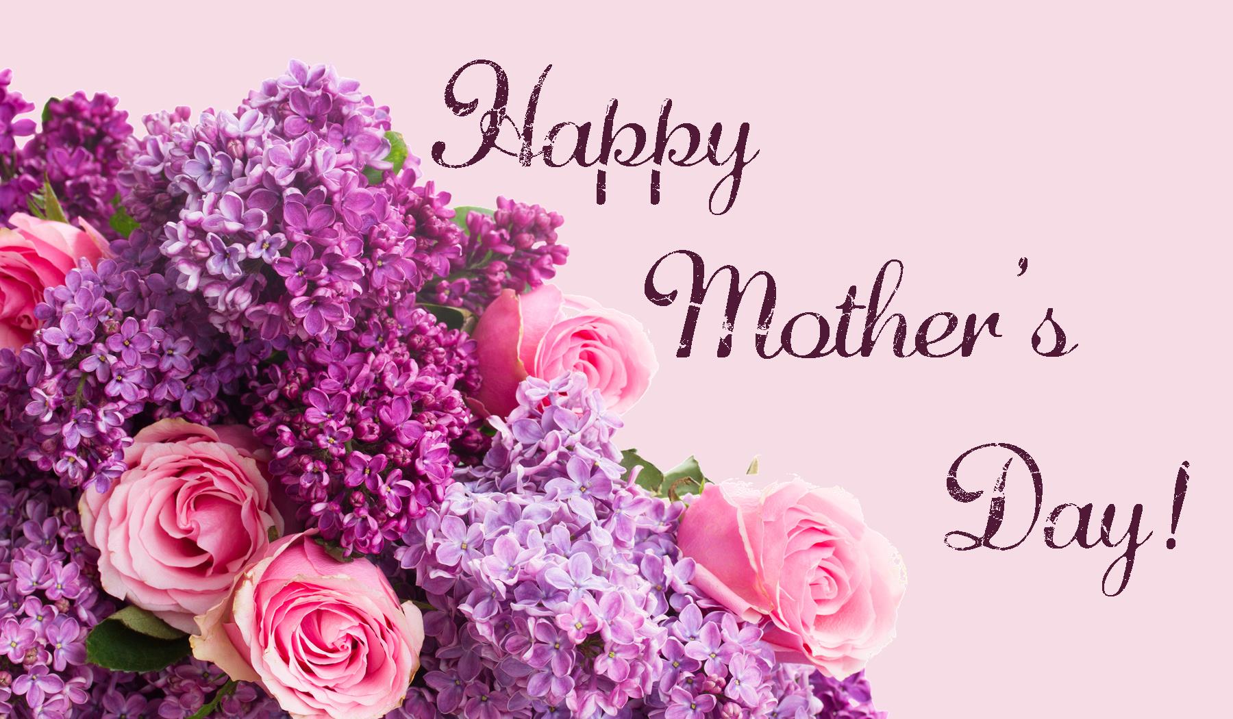 Free download wallpaper Flower, Rose, Holiday, Mother's Day on your PC desktop