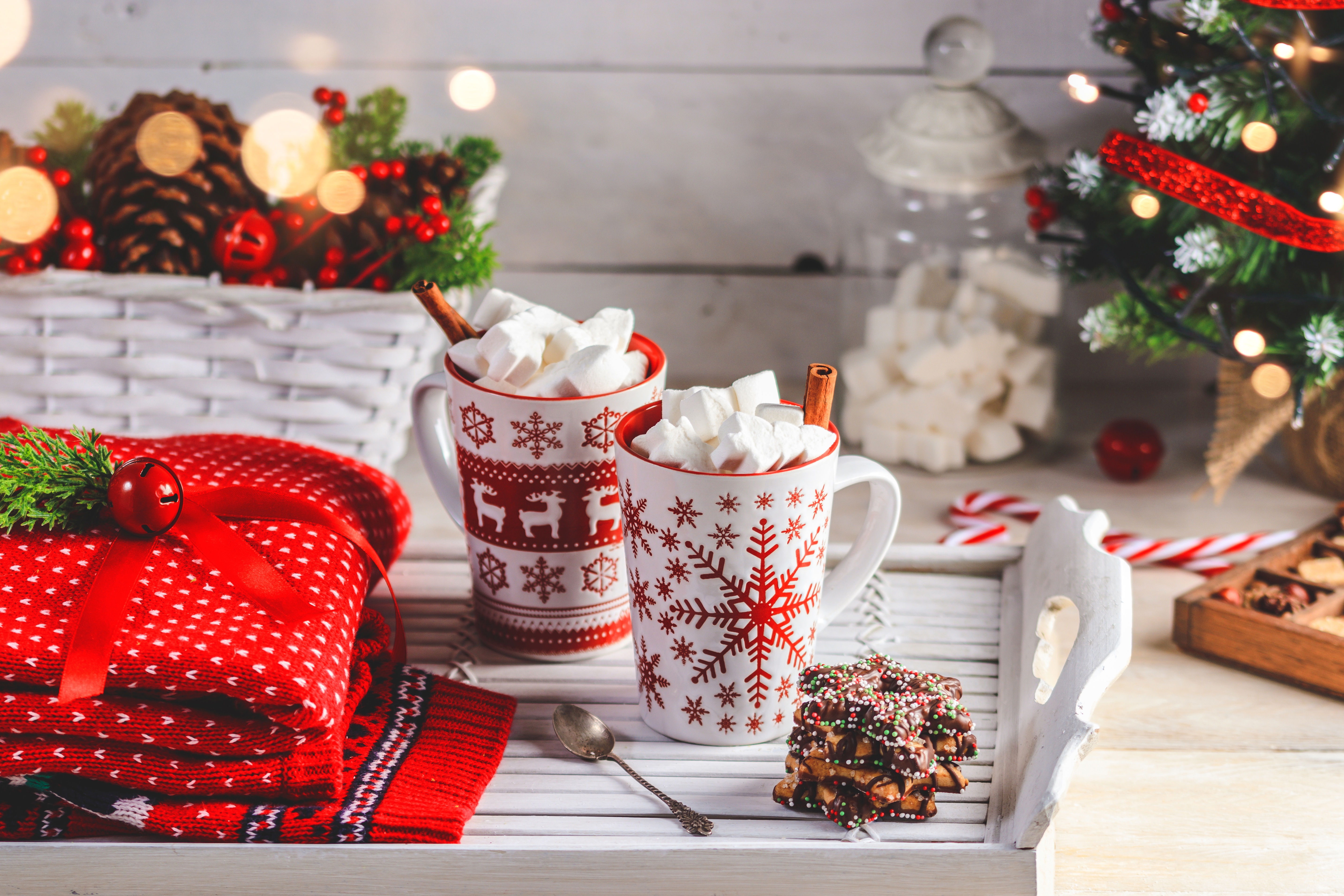 hot chocolate, food, christmas, cookie, cup, drink, marshmallow, still life