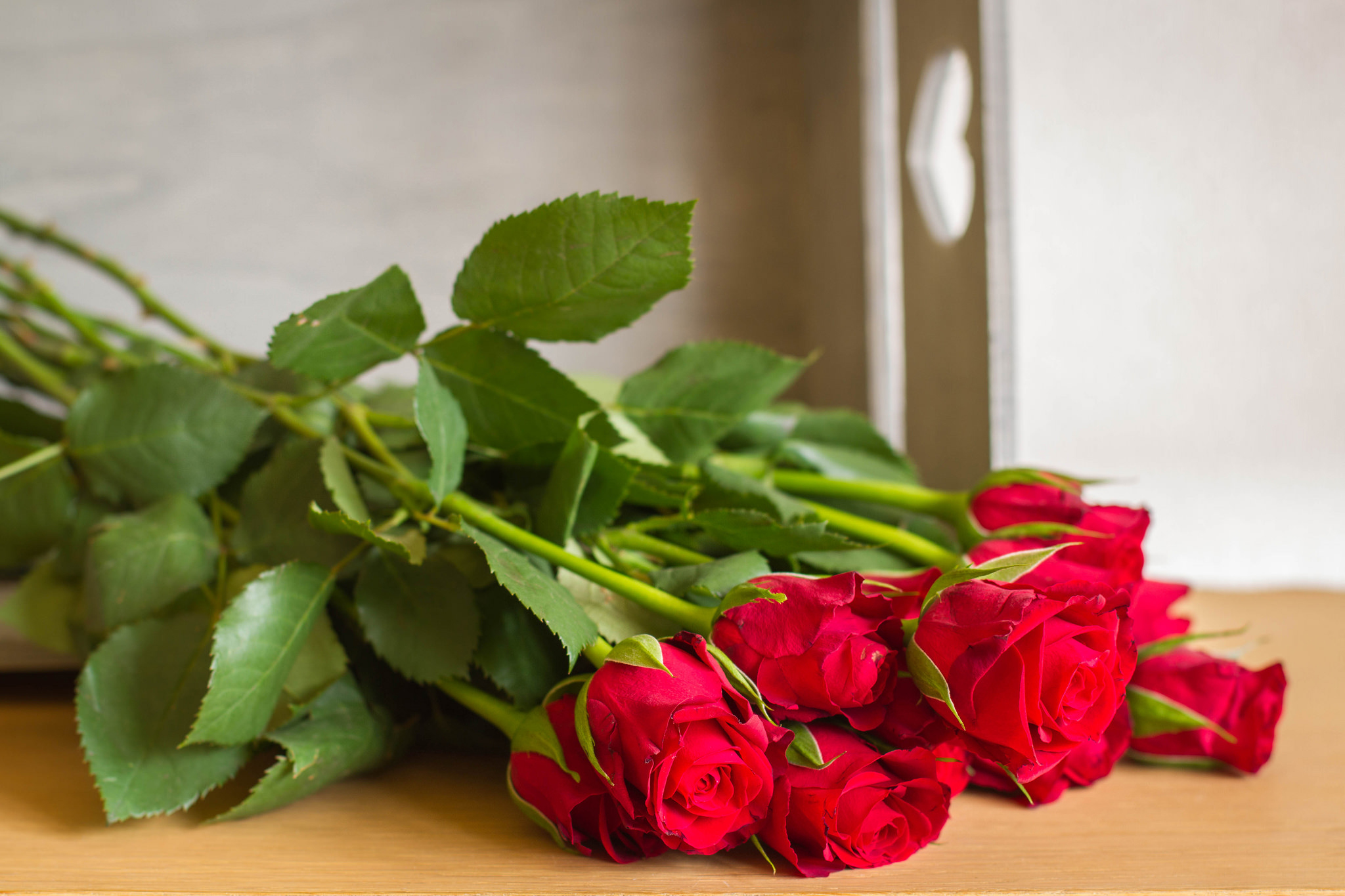 Téléchargez gratuitement l'image Fleurs, Rose, Fleur, Rose Rouge, Fleur Rouge, Terre/nature sur le bureau de votre PC
