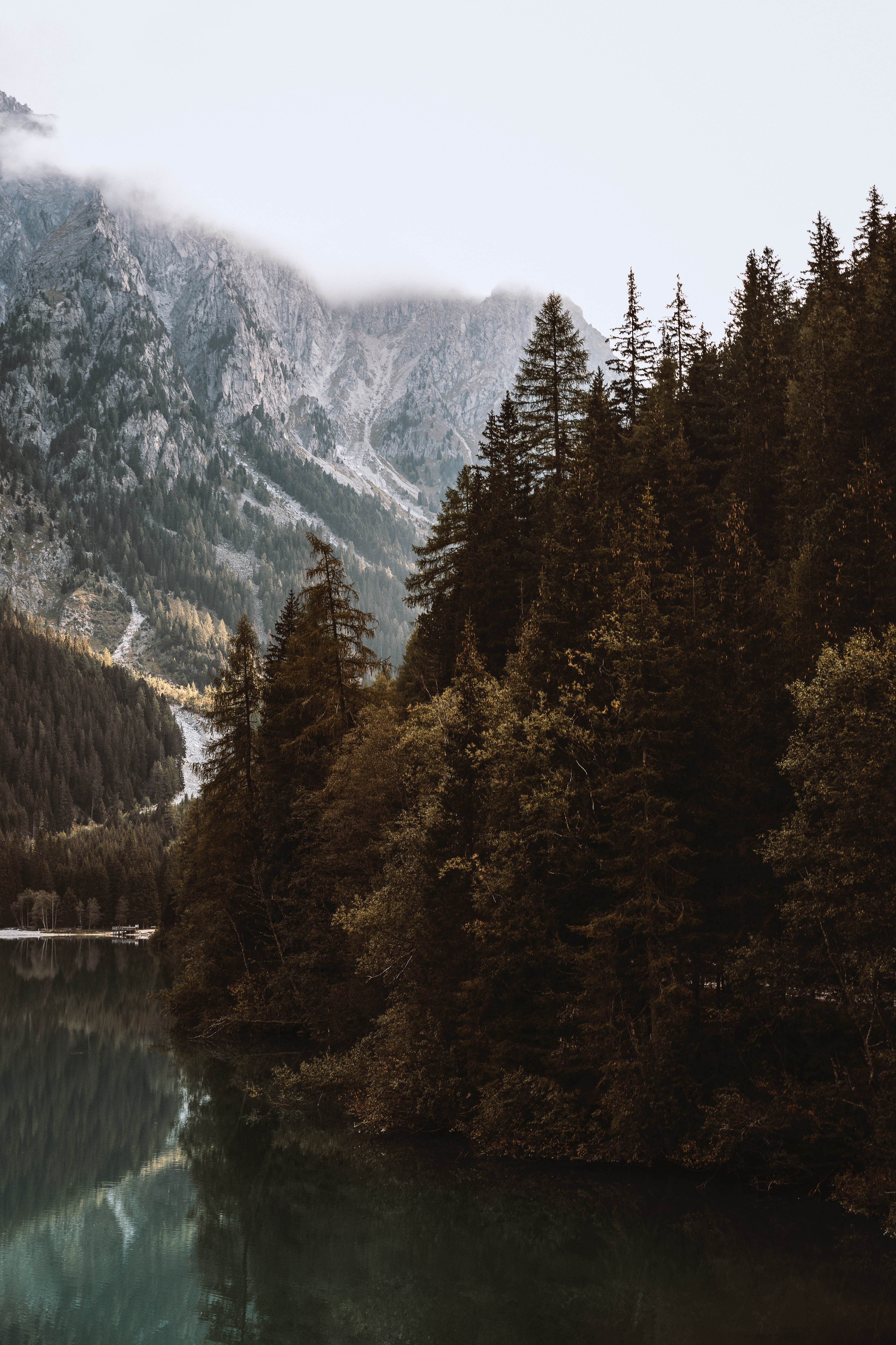 Download mobile wallpaper Trees, Spruce, Fir, Fog, Lake, Mountains, Forest, Nature for free.