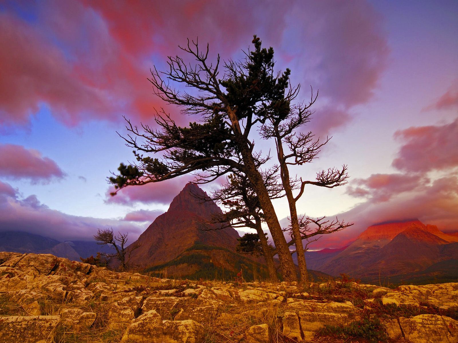 Free download wallpaper Sunset, Stones, Sky, Mountain, Tree, Evening, Nature, Wood on your PC desktop