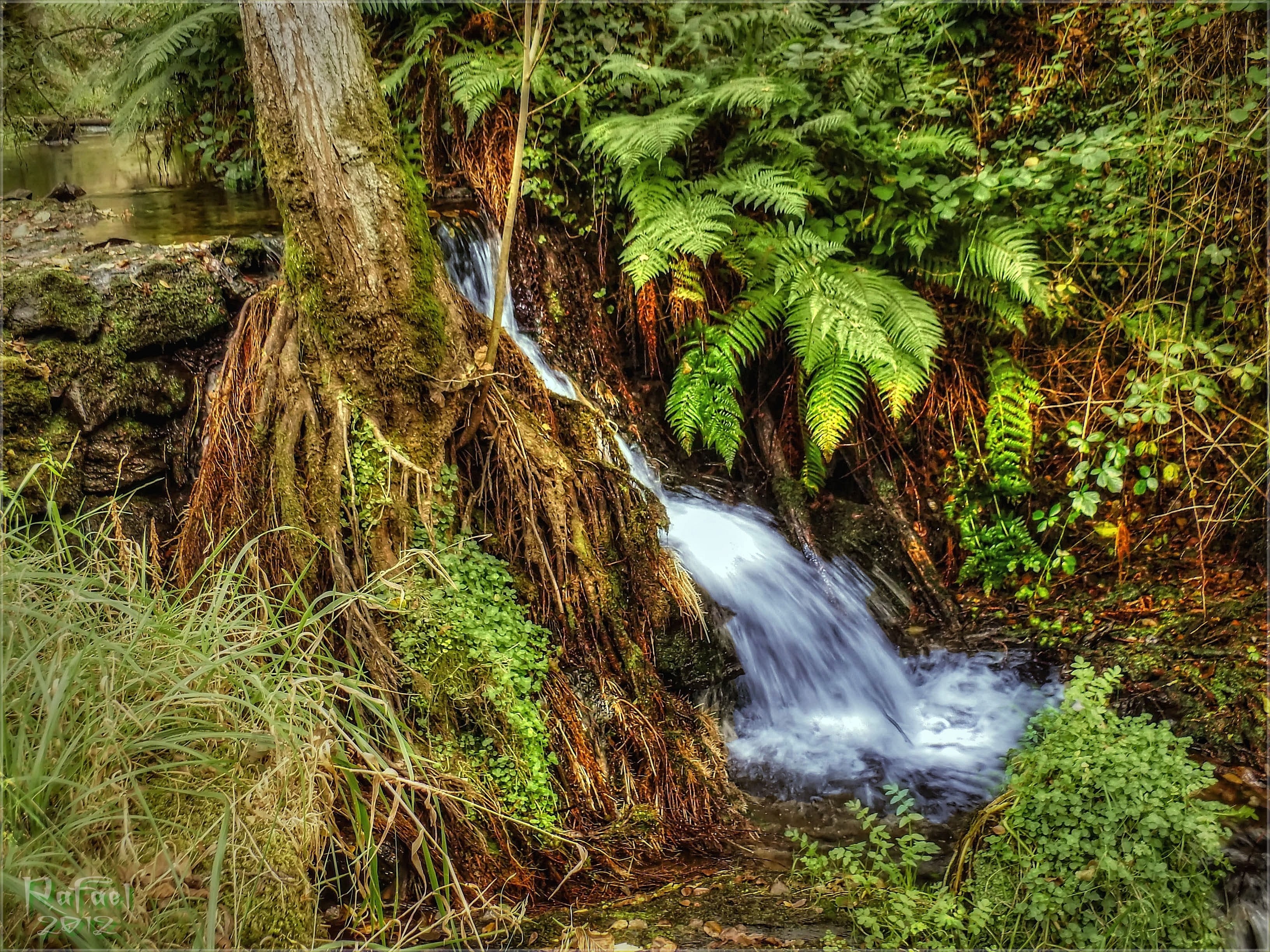 Free download wallpaper Creek, Brook, Nature, River on your PC desktop