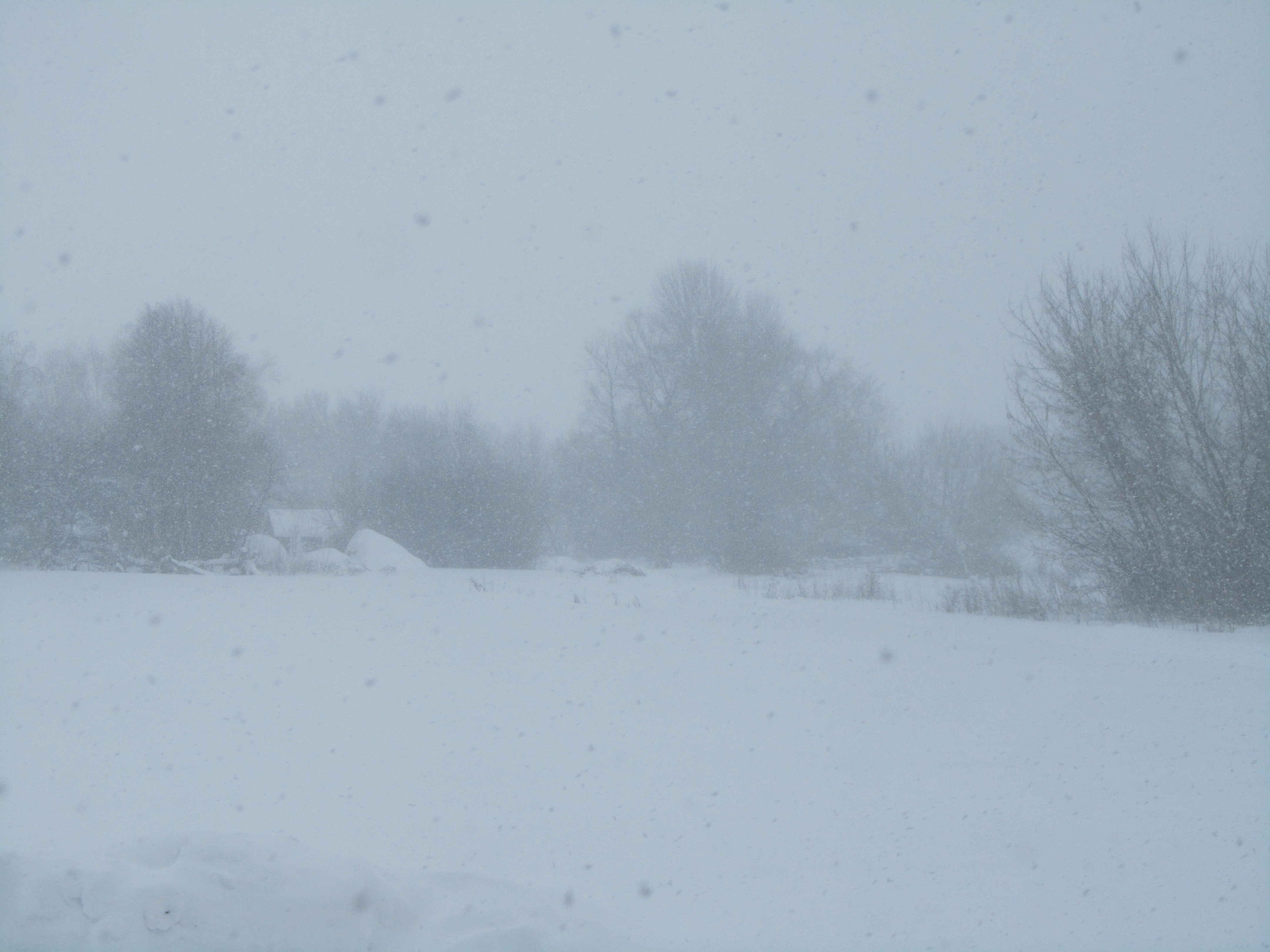 Laden Sie das Winter, Erde/natur-Bild kostenlos auf Ihren PC-Desktop herunter