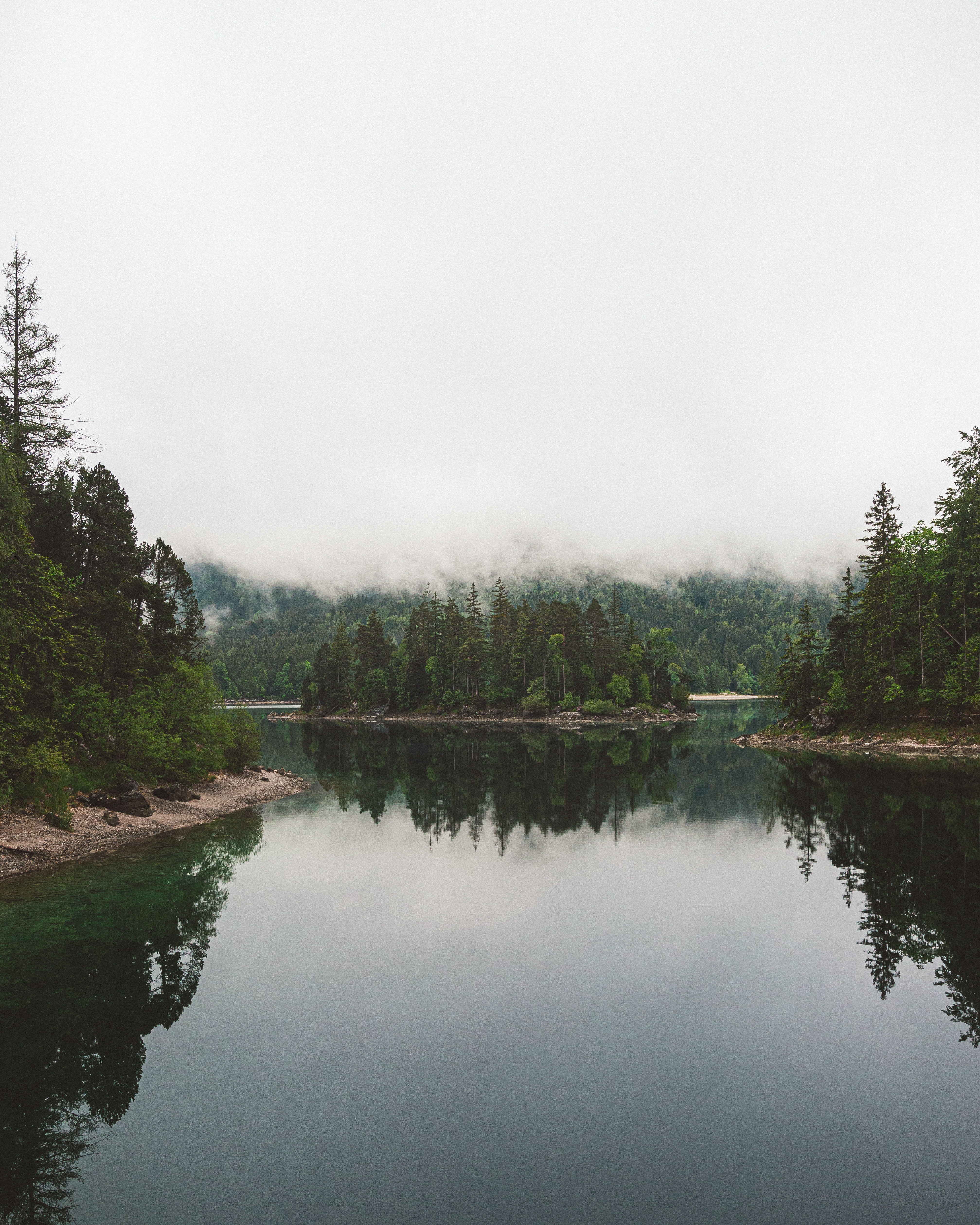 138597 скачать картинку озеро, деревья, природа, отражение, туман, ель - обои и заставки бесплатно