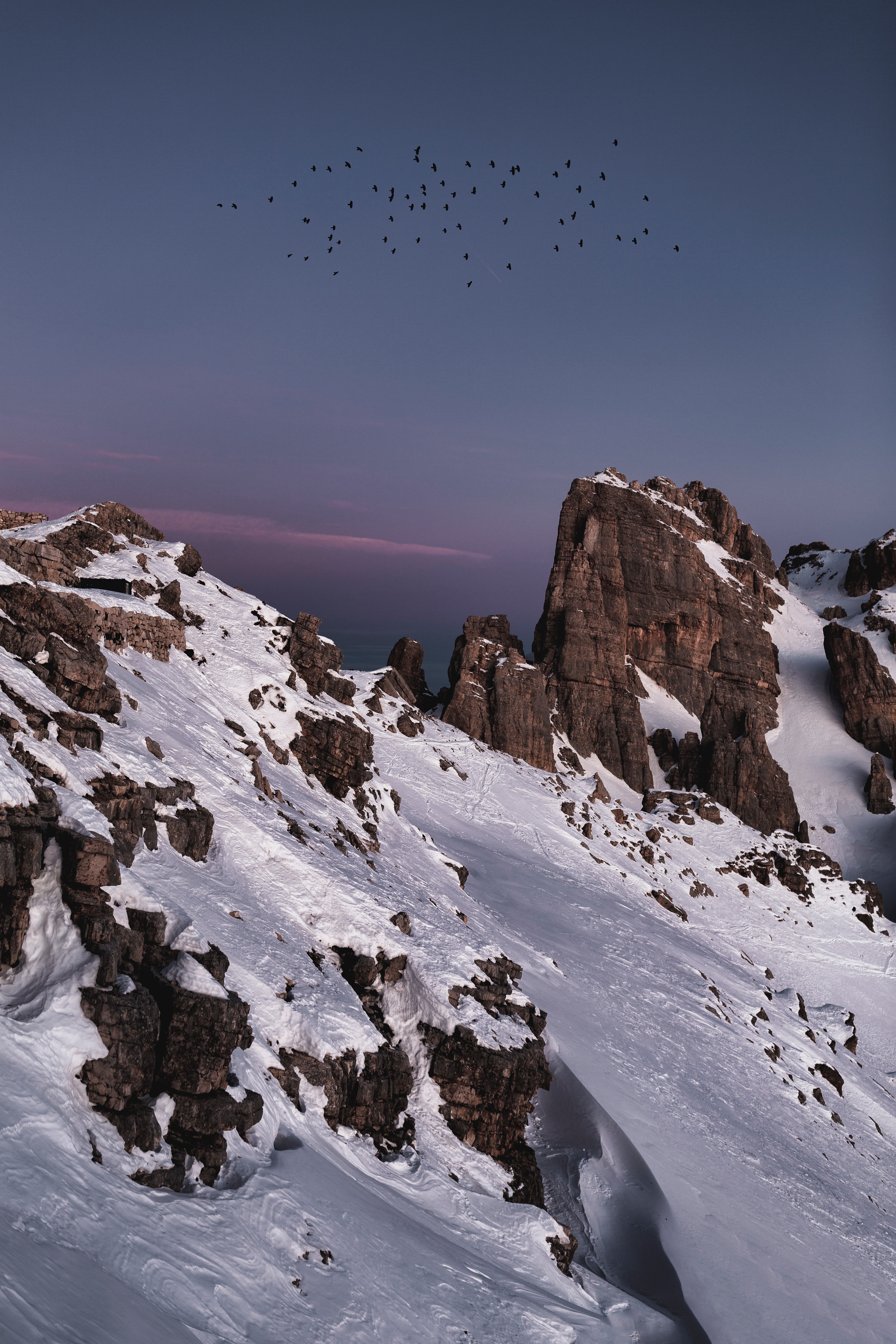 snow, rocks, nature, birds, mountain 4K