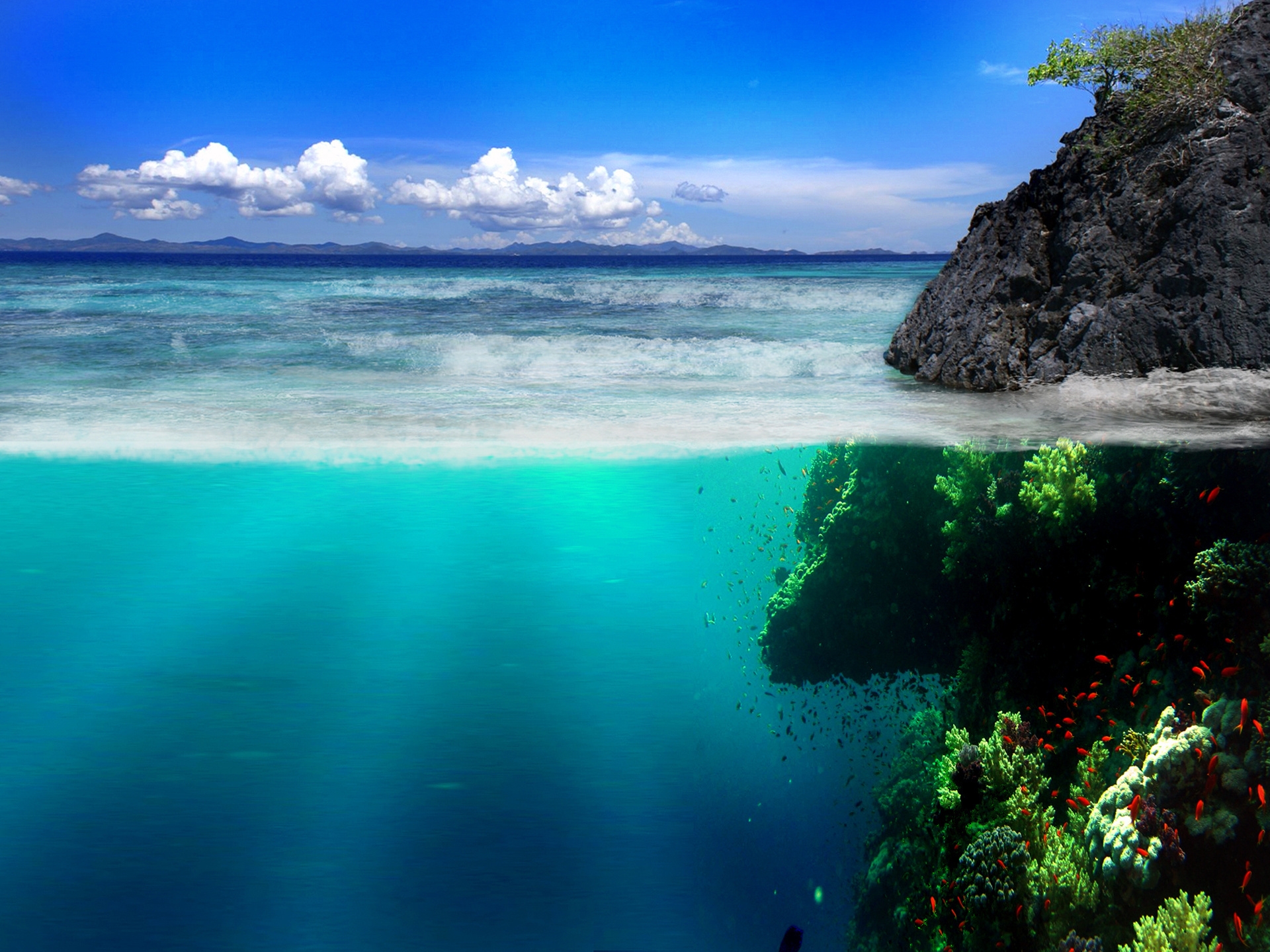 nature, sea, rocks, shore, bank, vegetation, underwater world, fish