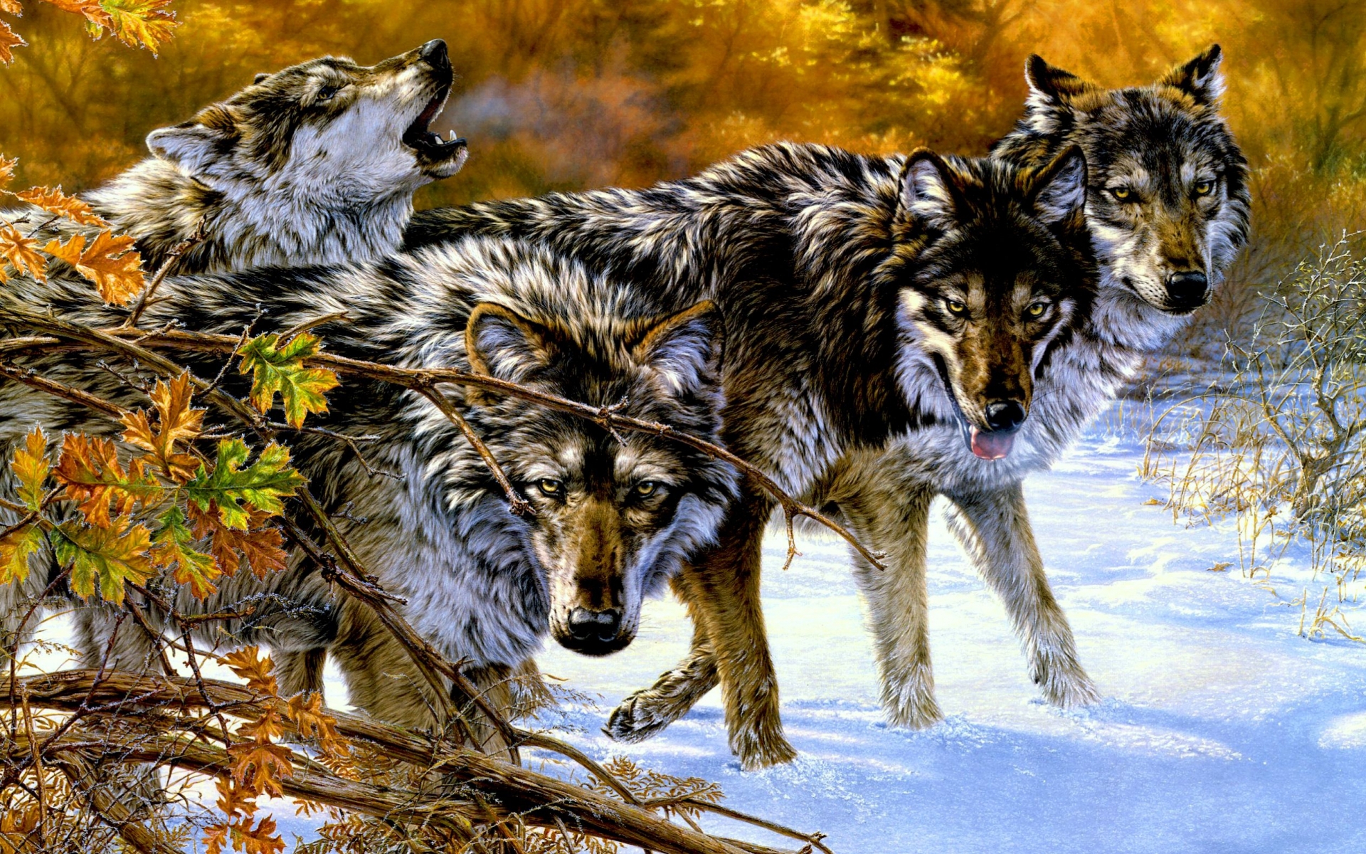 Téléchargez des papiers peints mobile Animaux, Loups gratuitement.