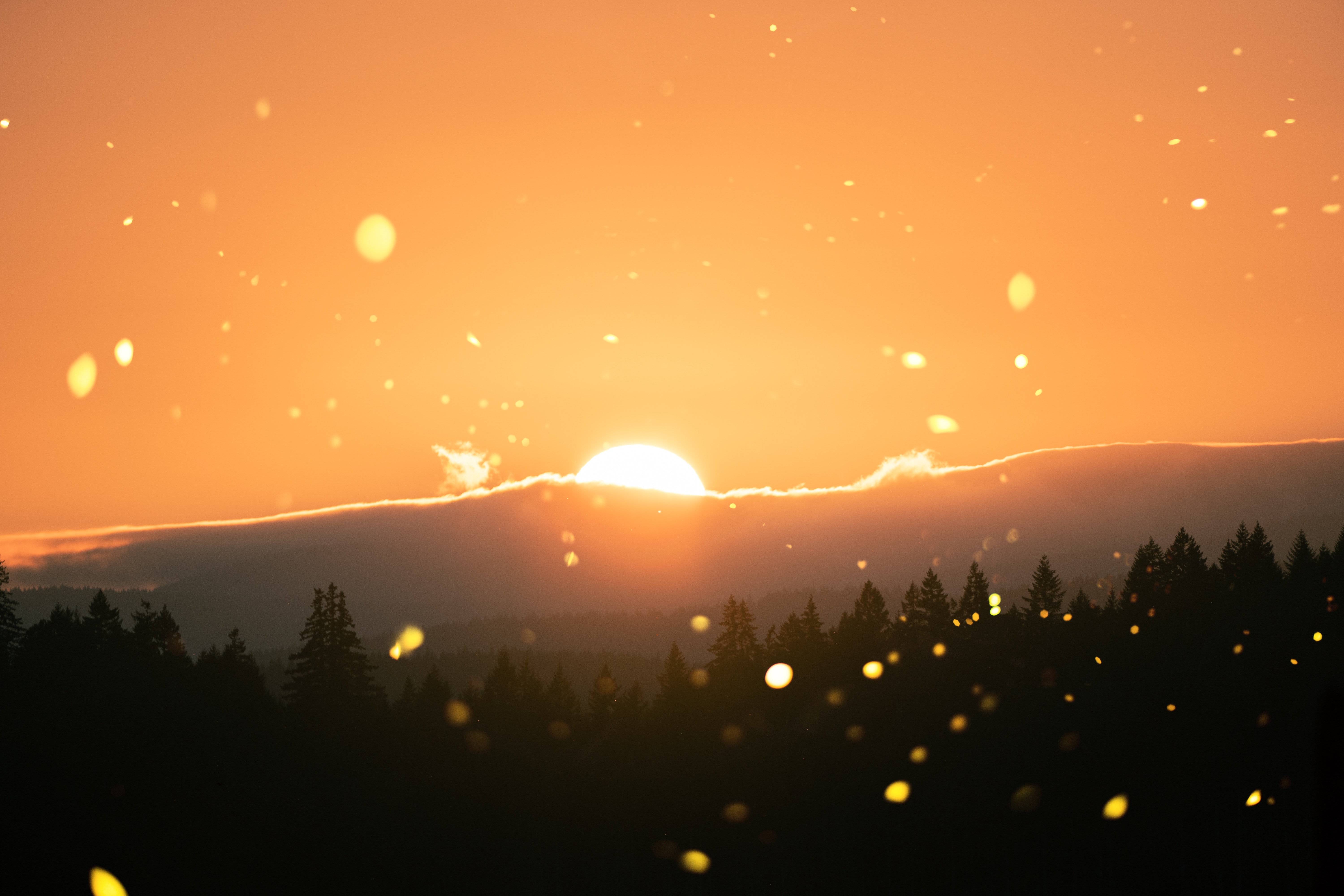 Download mobile wallpaper Sunlight, Glare, Nature, Sunset, Sun, Landscape for free.