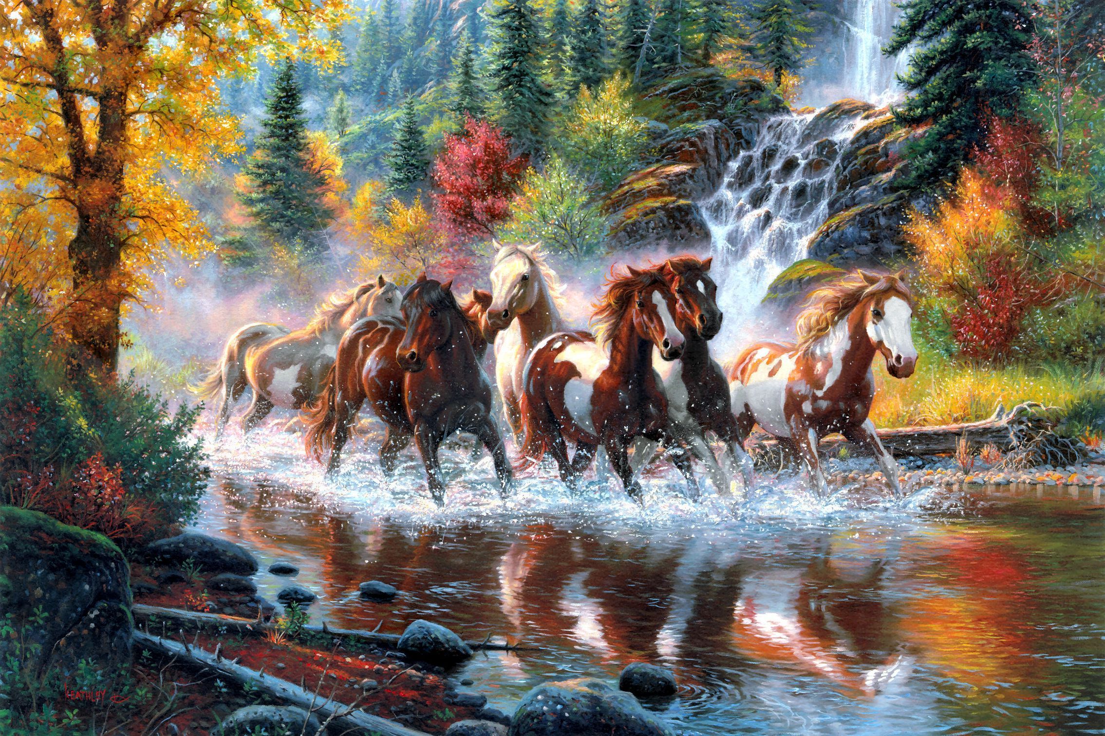 245755 скачать обои животные, лошадь, ручей - заставки и картинки бесплатно