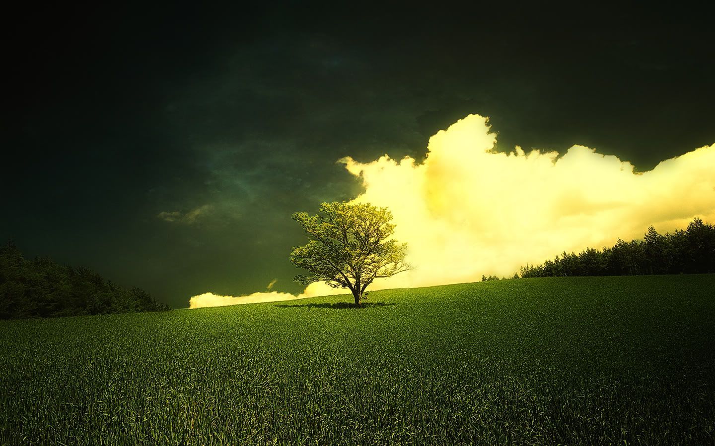 Download mobile wallpaper Earth, Field for free.