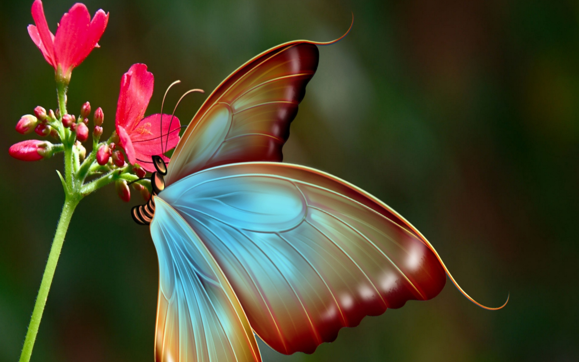 Free download wallpaper Close Up, Butterfly, Artistic, Pink Flower on your PC desktop