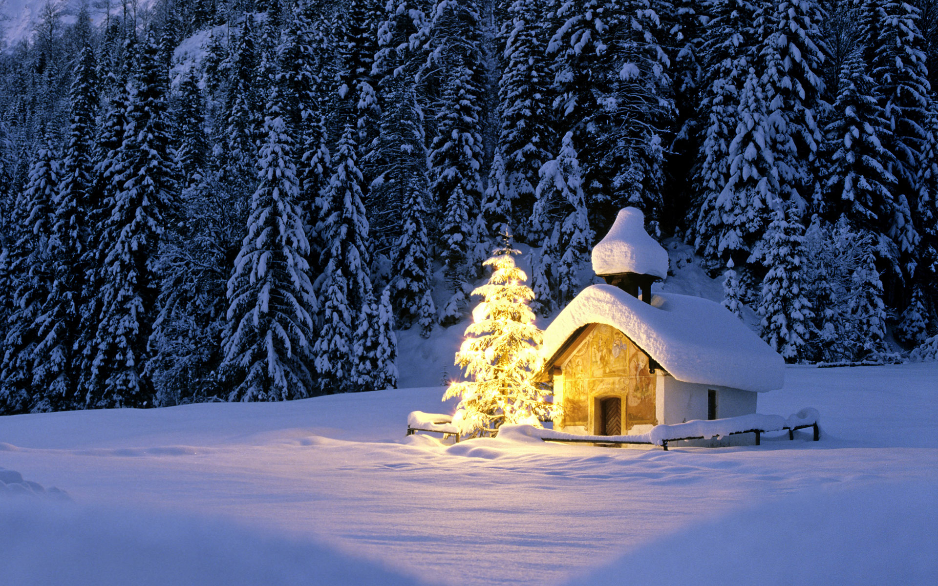 Download mobile wallpaper Snow, Forest, Tree, Christmas, Holiday, Christmas Tree, Church for free.