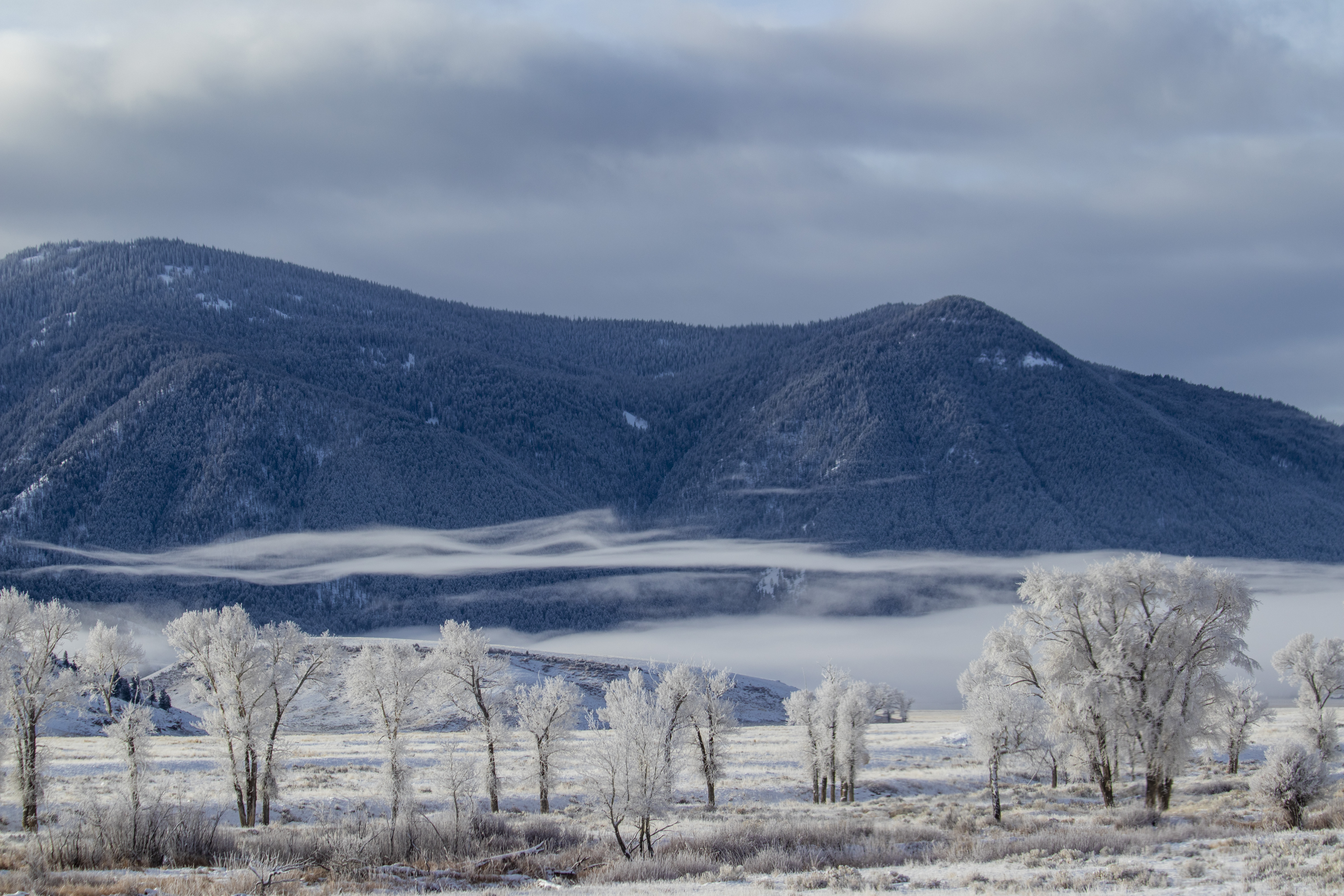 Descarga gratis la imagen Naturaleza, Árboles, Nubes, Nieve, Montaña, Invierno en el escritorio de tu PC